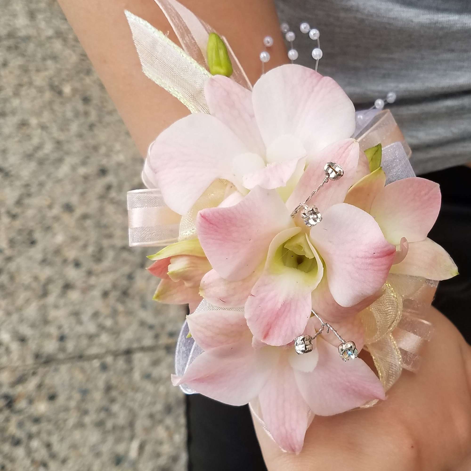 A delicate and romantic wrist corsage featuring soft blush orchids, elegant ribbon