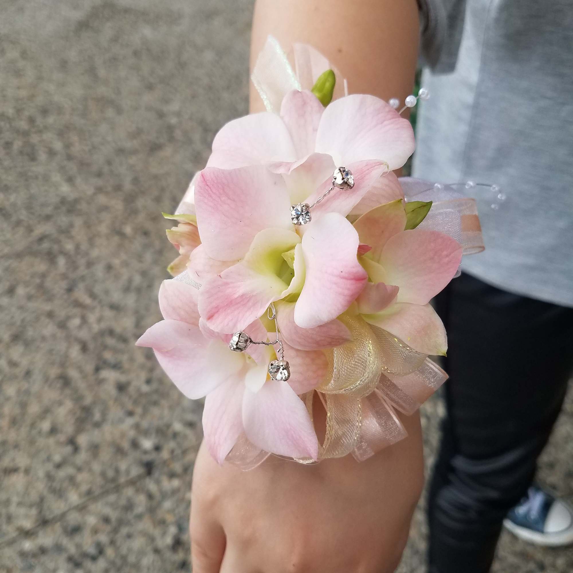 A delicate and romantic wrist corsage featuring soft blush orchids, elegant ribbon