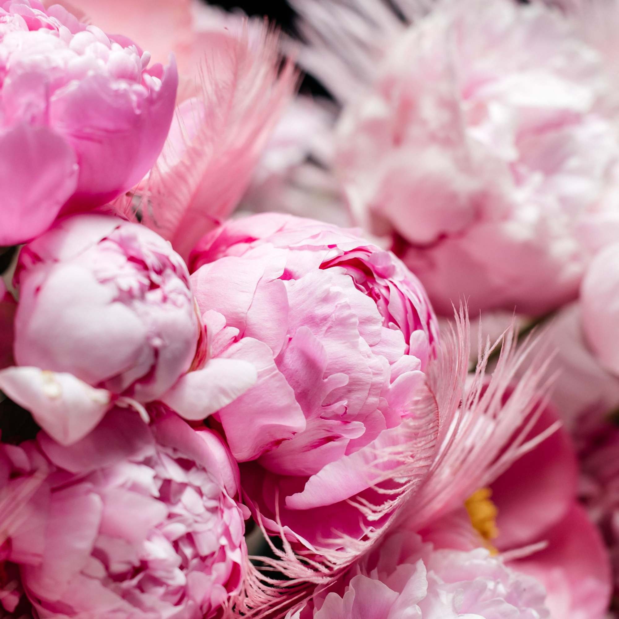 Second Chance is what you send when words aren&rsquo;t enough&mdash;but the intention