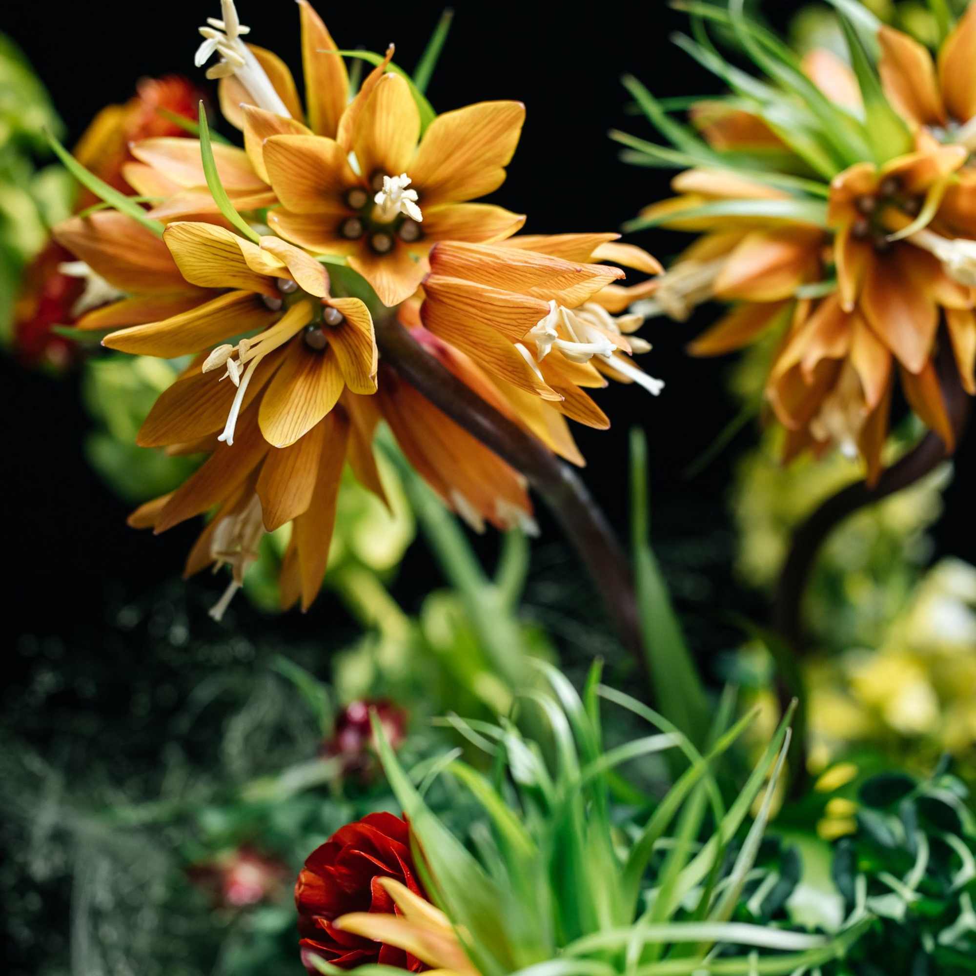 Zhar Ptitsa is fire in motion.
Inspired by the Slavic myth of the