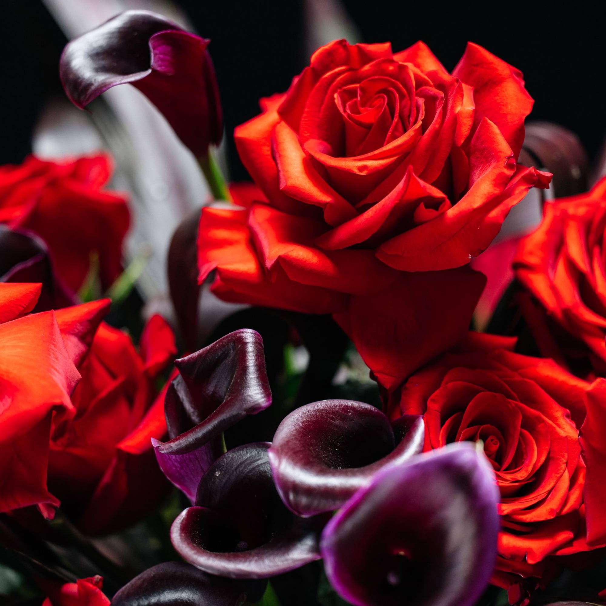 Red Authority is not a bouquet&mdash;it&rsquo;s a presence.
Velvety red roses command attention