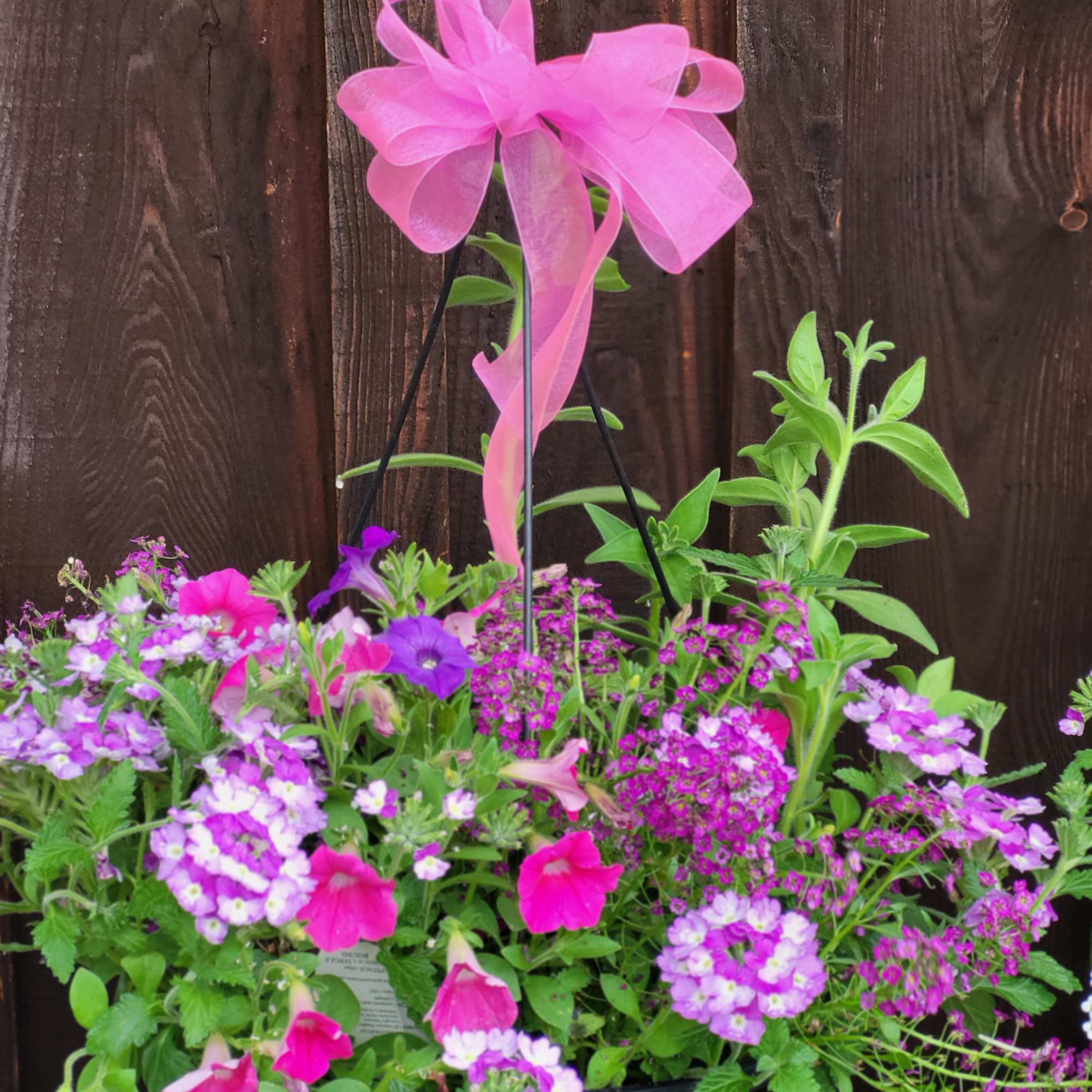 Mixed pink and purple flowers in a black hanging basket with a pink bow