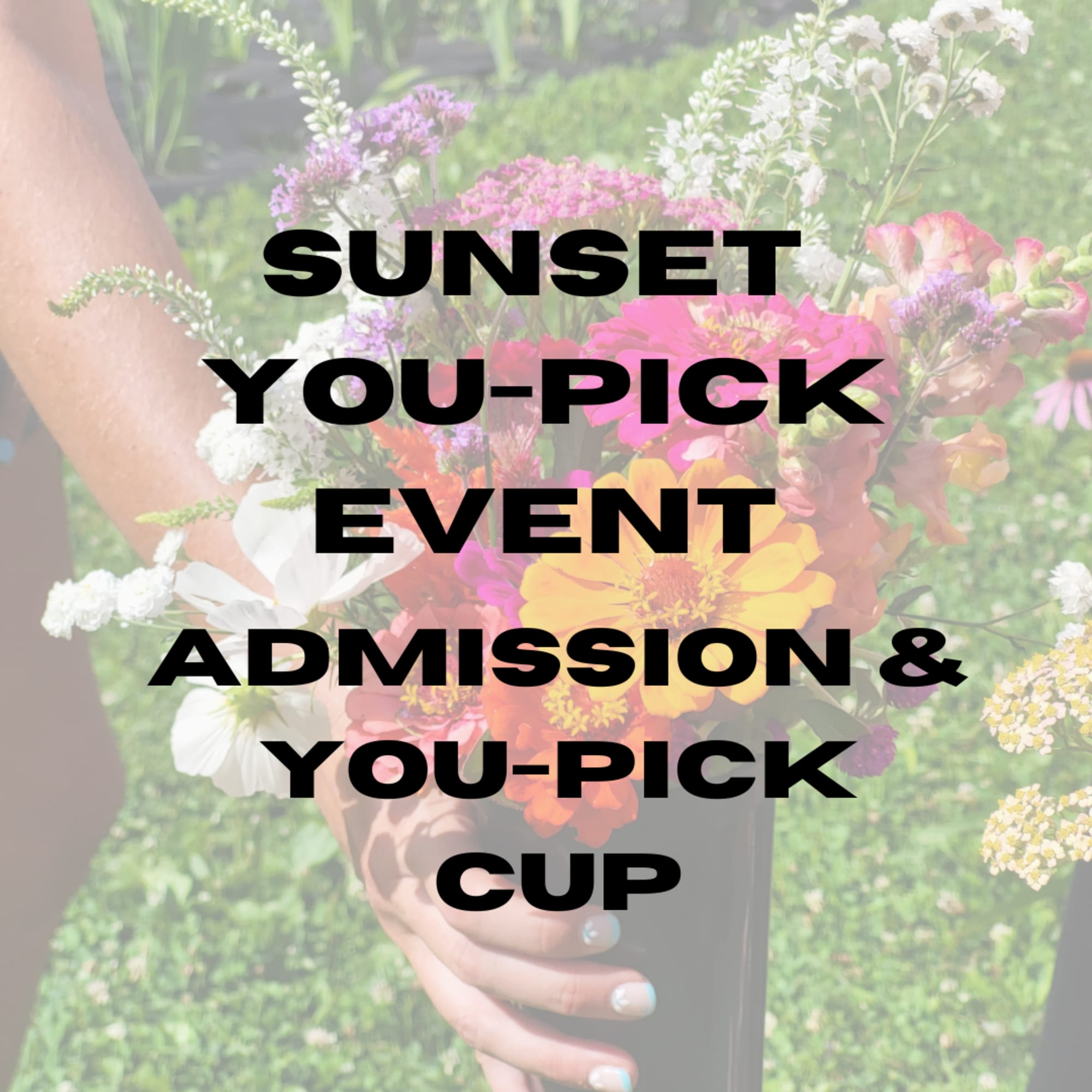 Handheld mixed bouquet in a black cup with bright pink, yellow, orange, and white flowers.