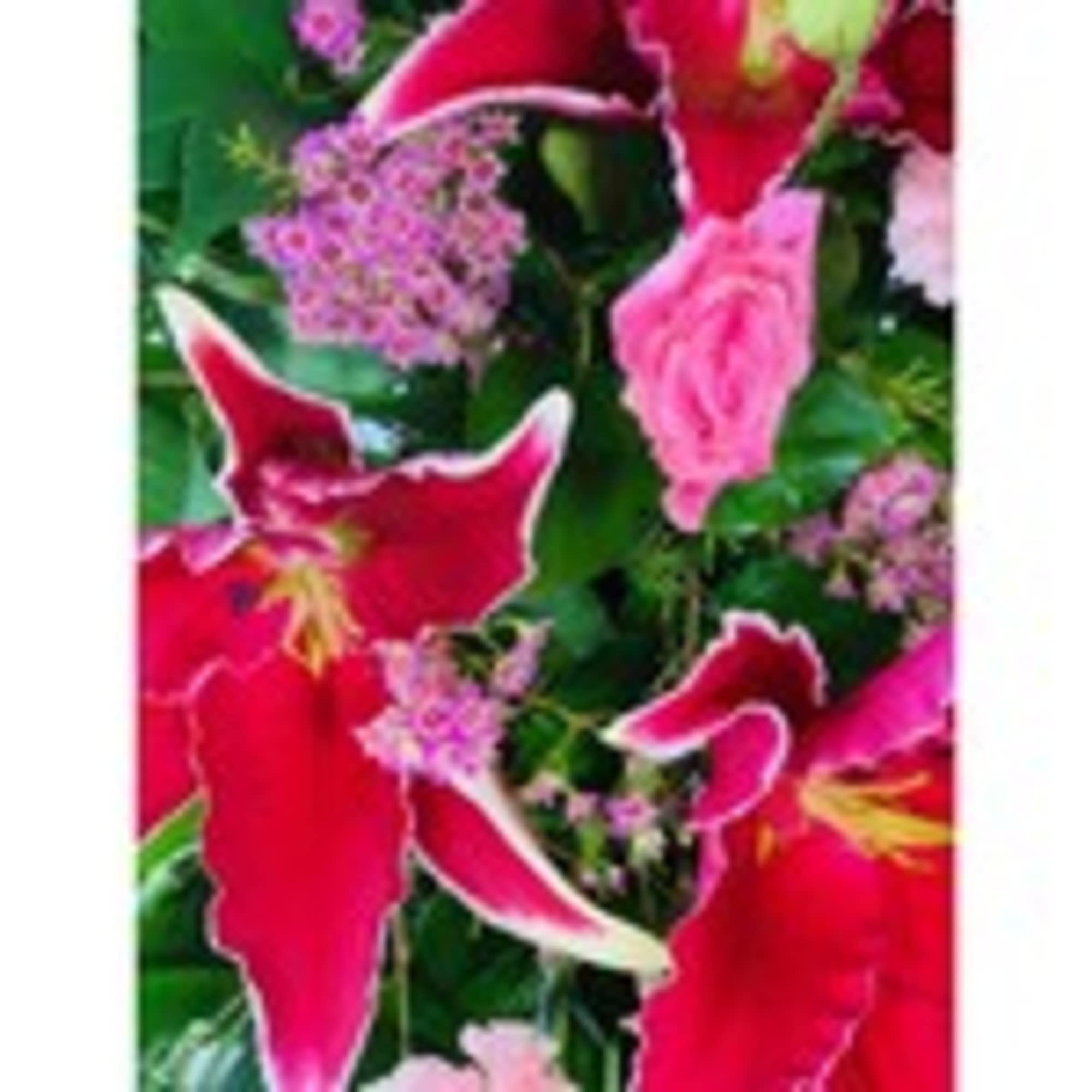 Close-up of pink and red lilies with small purple filler flowers