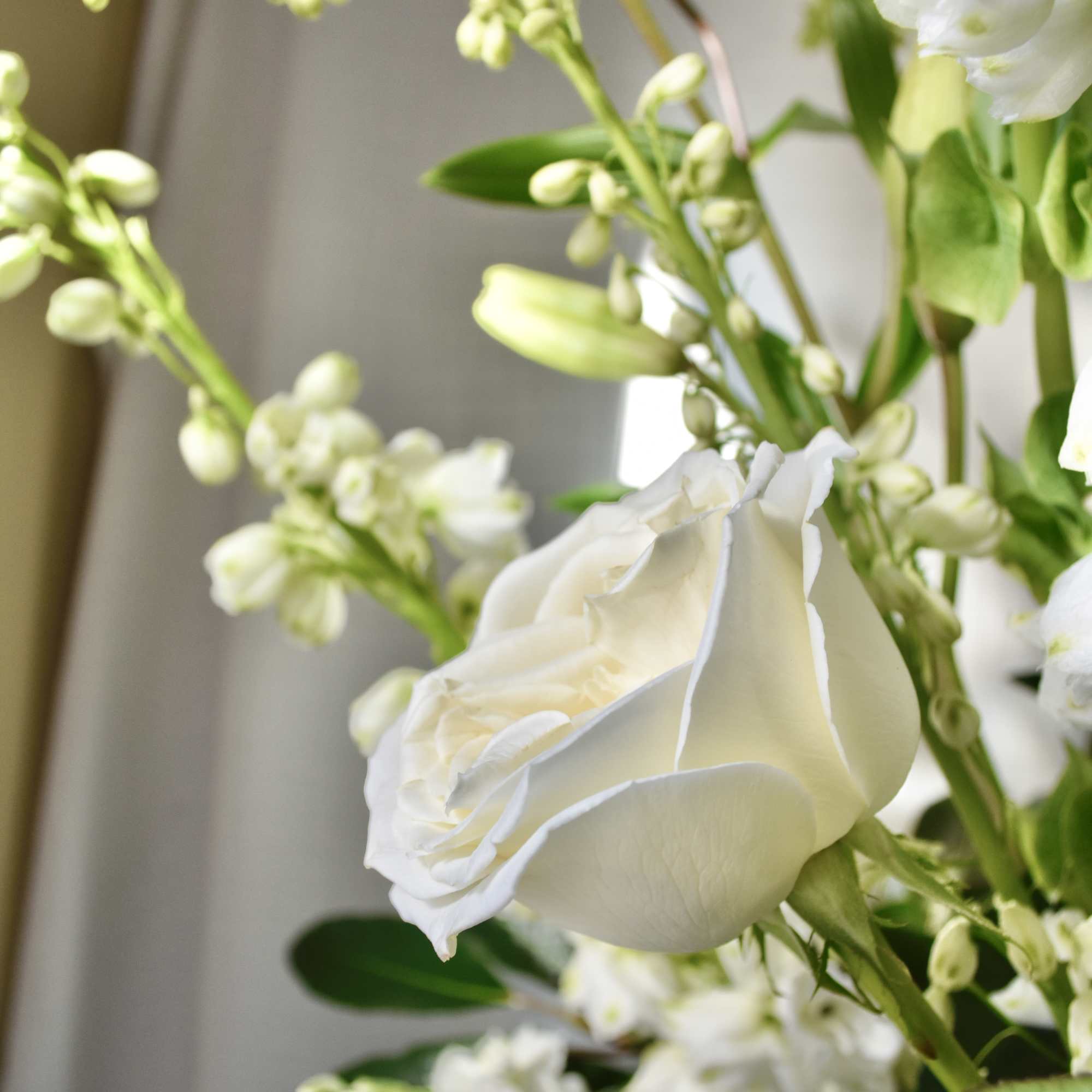White rose with small white blossoms in a floral arrangement