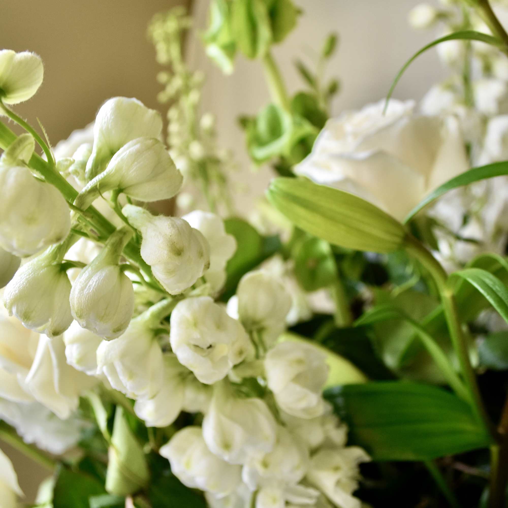 White bell-shaped flowers with green foliage in a close-up bouquet