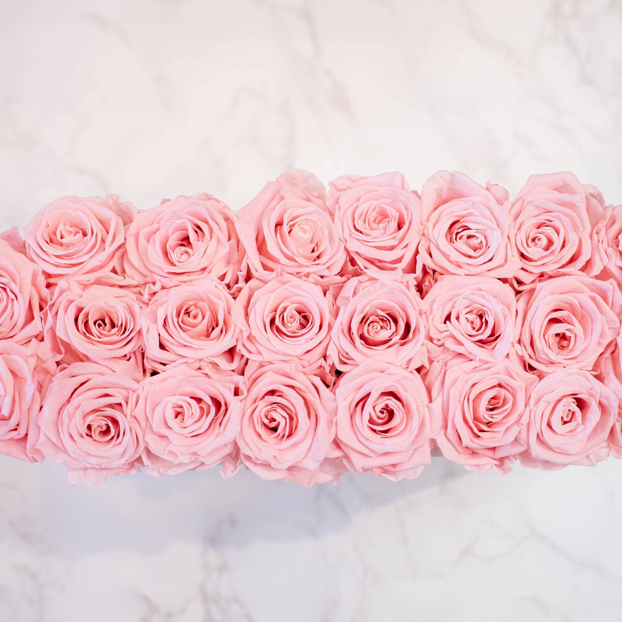 High end preserved roses, custom designed by hand in our local shop