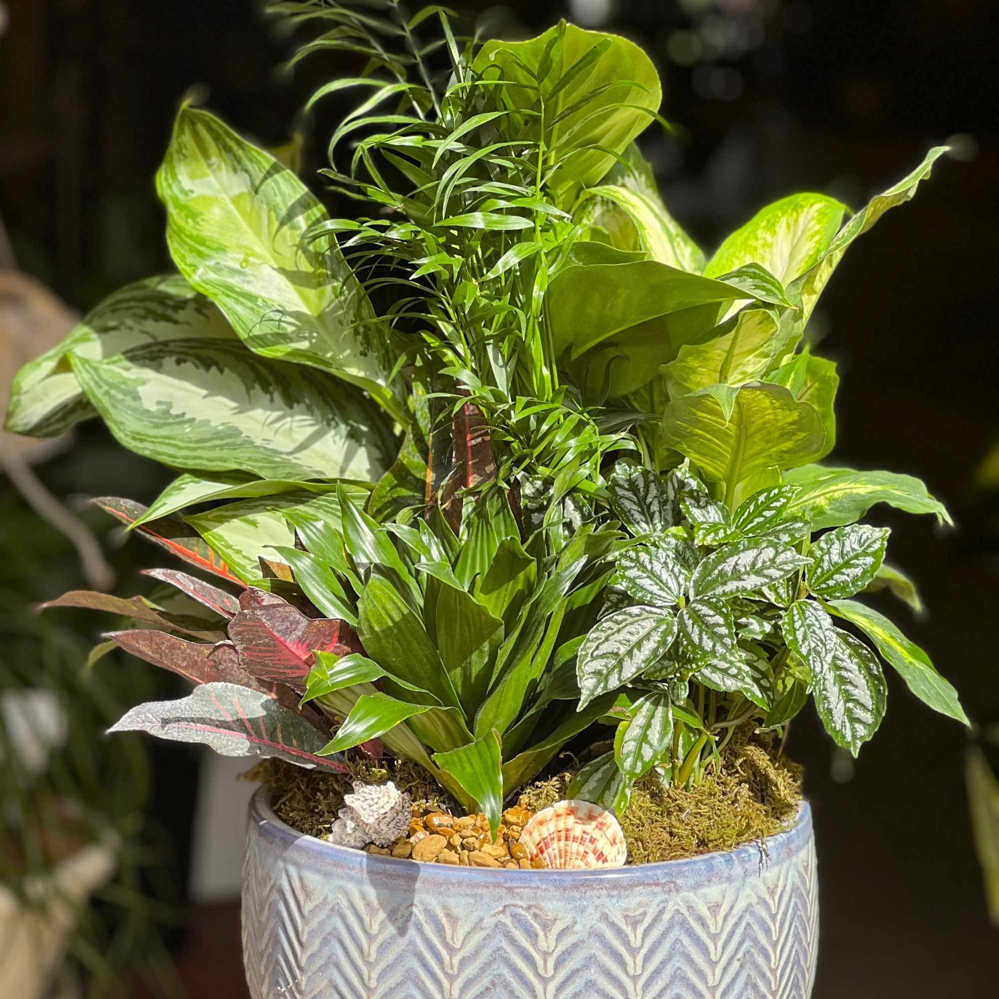 Mixed tropical foliage arrangement in a patterned ceramic pot