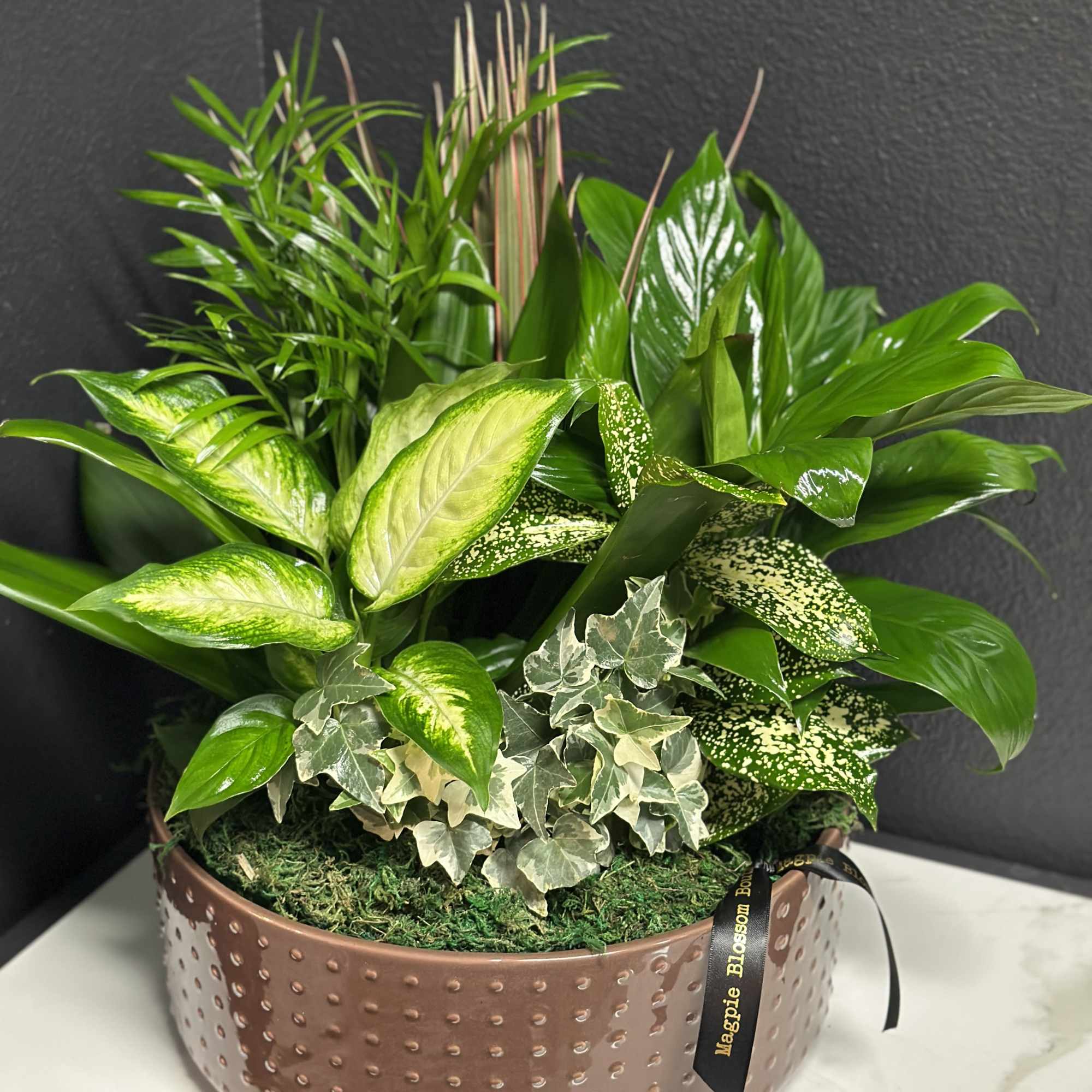 This lovely garden features a variety of easy to care for houseplants