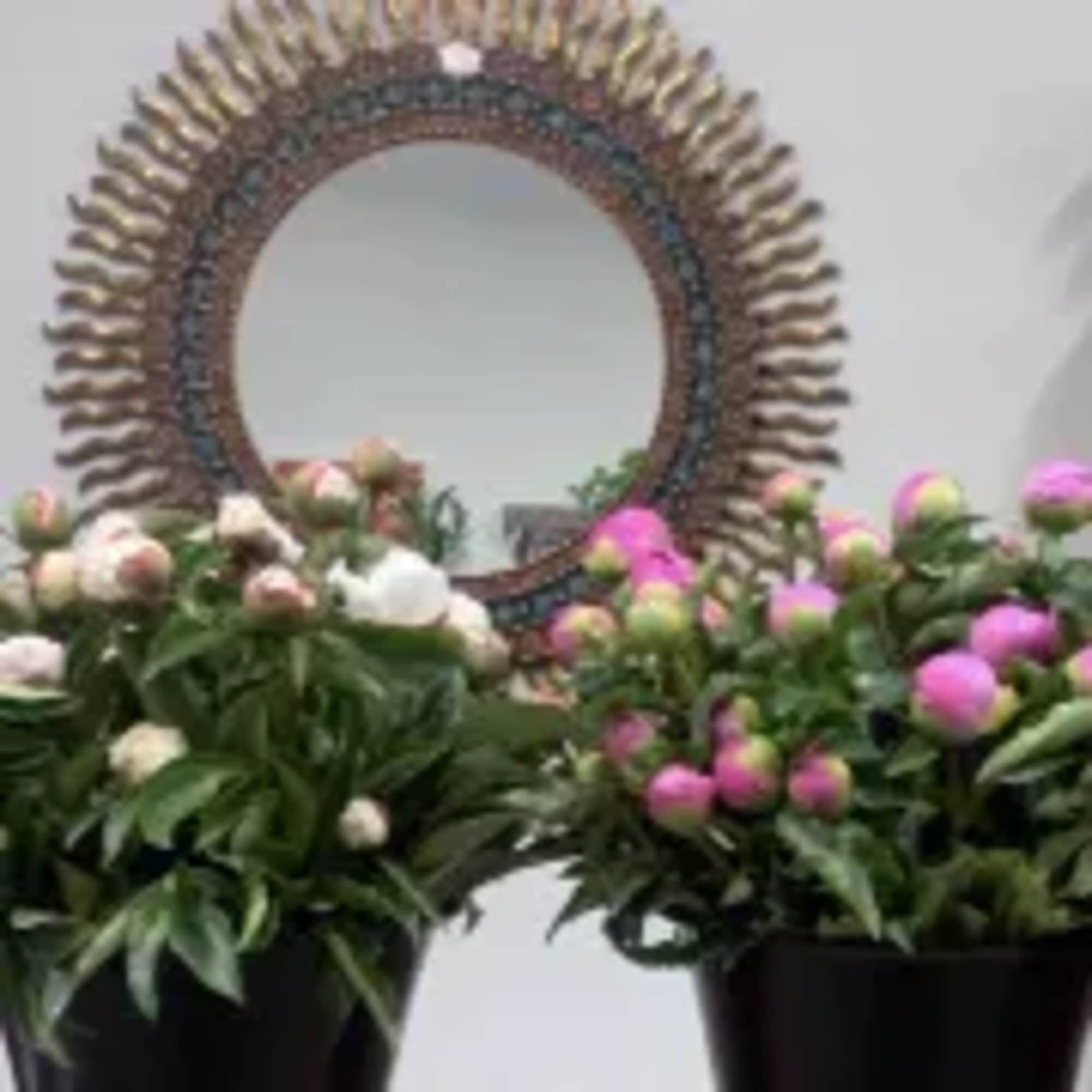 Two potted flower arrangements with pink and white blooms in front of a round wall mirror