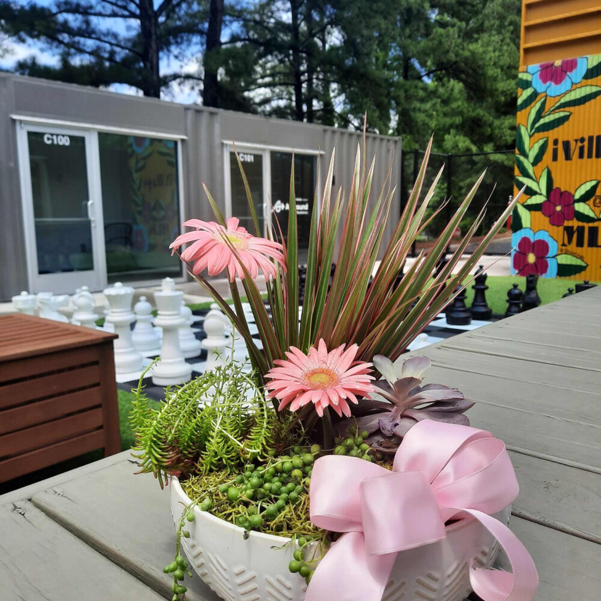 Succulent arrangement with pink daisies in a white bowl and pink ribbon