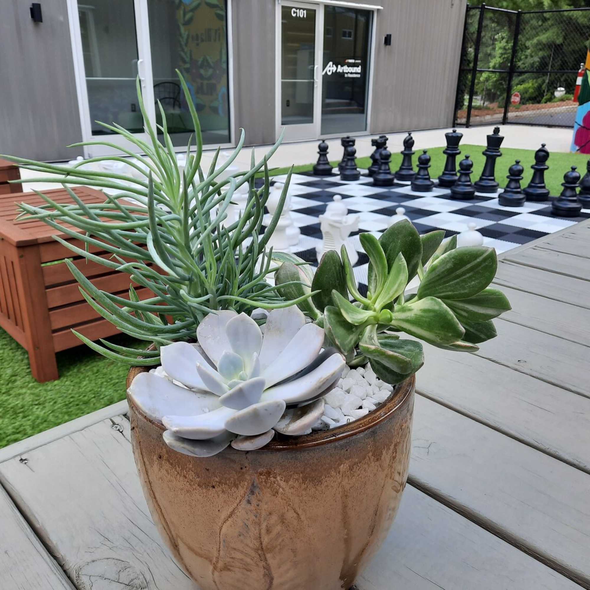 Potted succulent arrangement in a brown ceramic container