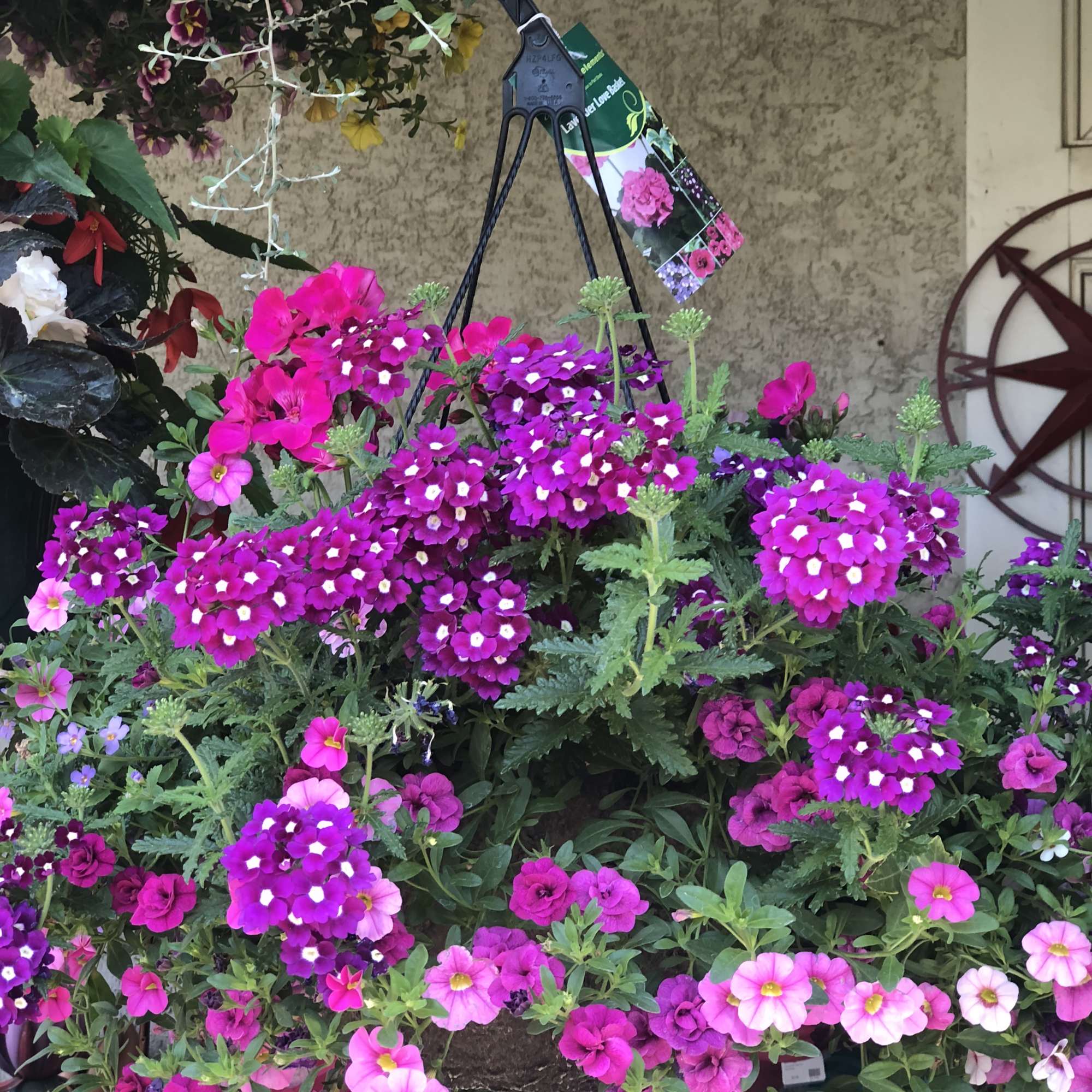 Hanging basket of pink and purple mixed flowers