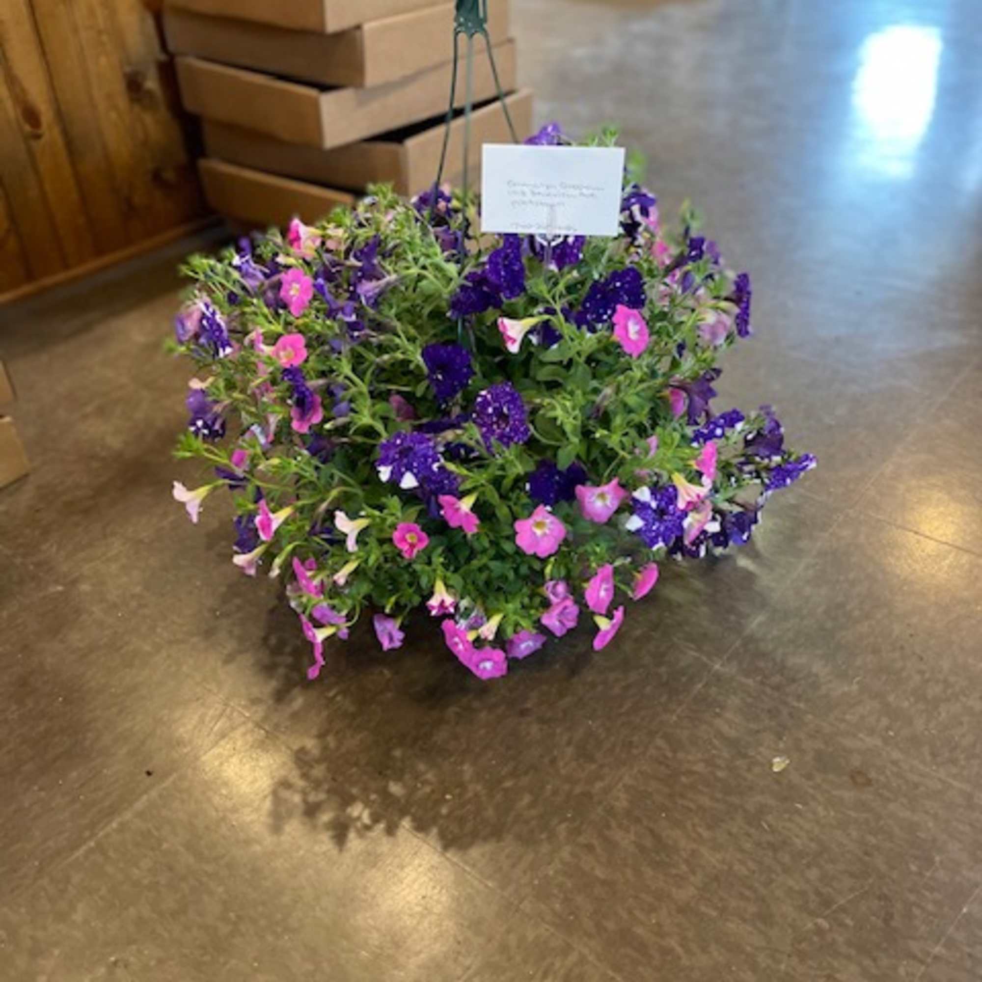 Hanging basket of purple and pink flowers