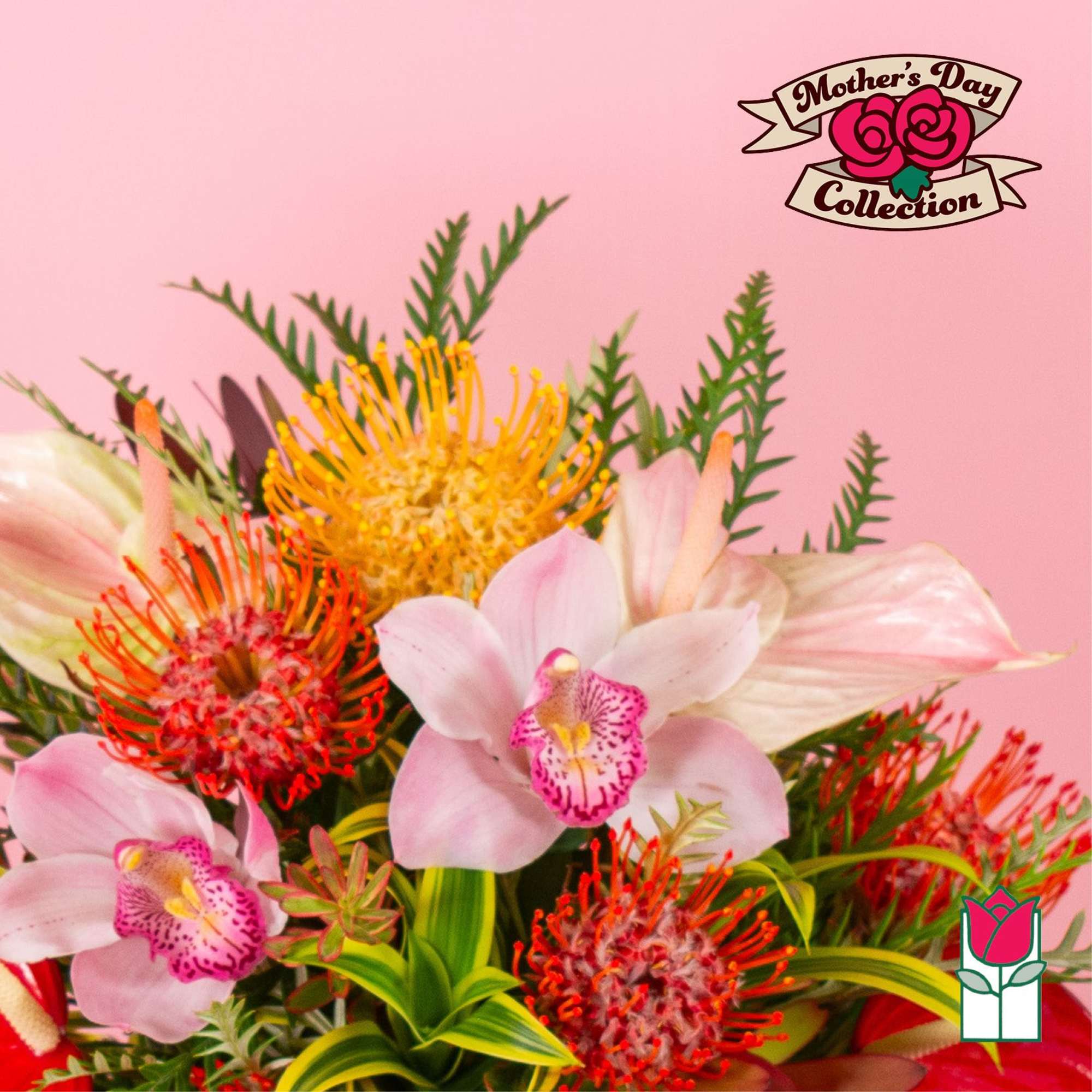 Tropical bouquet with pink orchids and orange-yellow protea blooms on a pink background