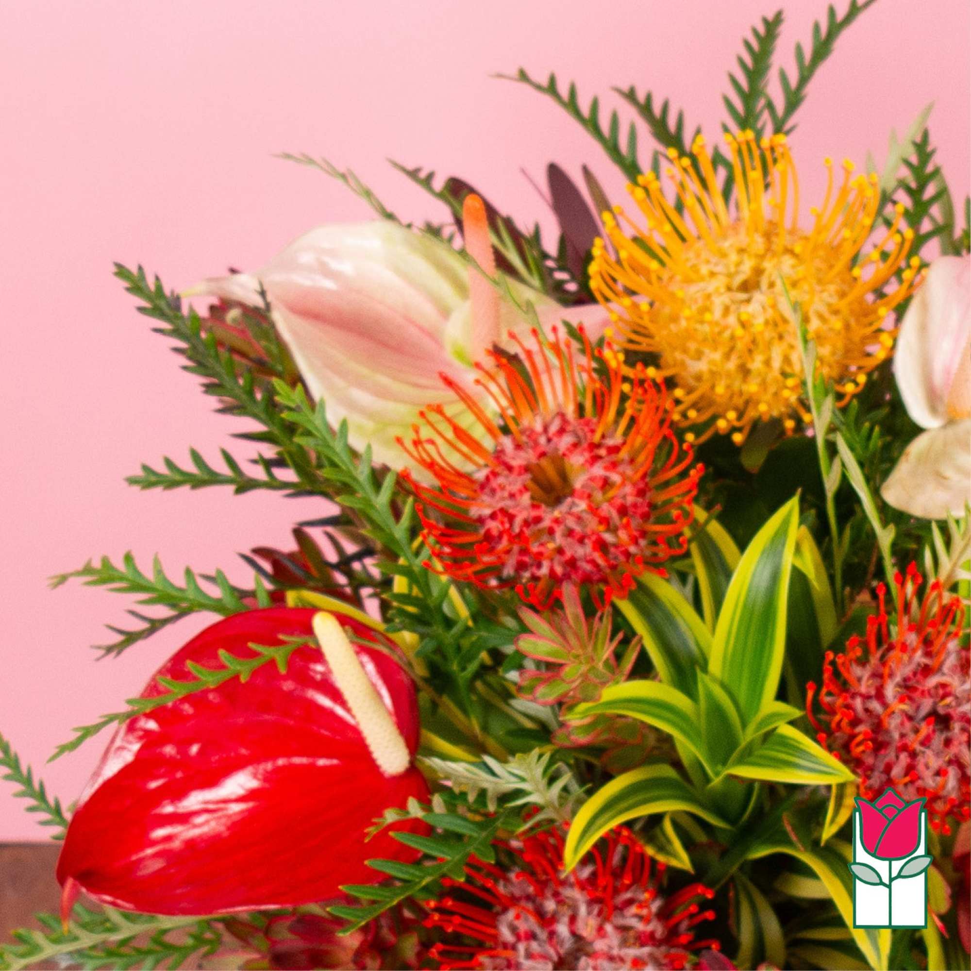 Tropical bouquet with red anthurium, pincushion protea, and pink lilies against a pink background