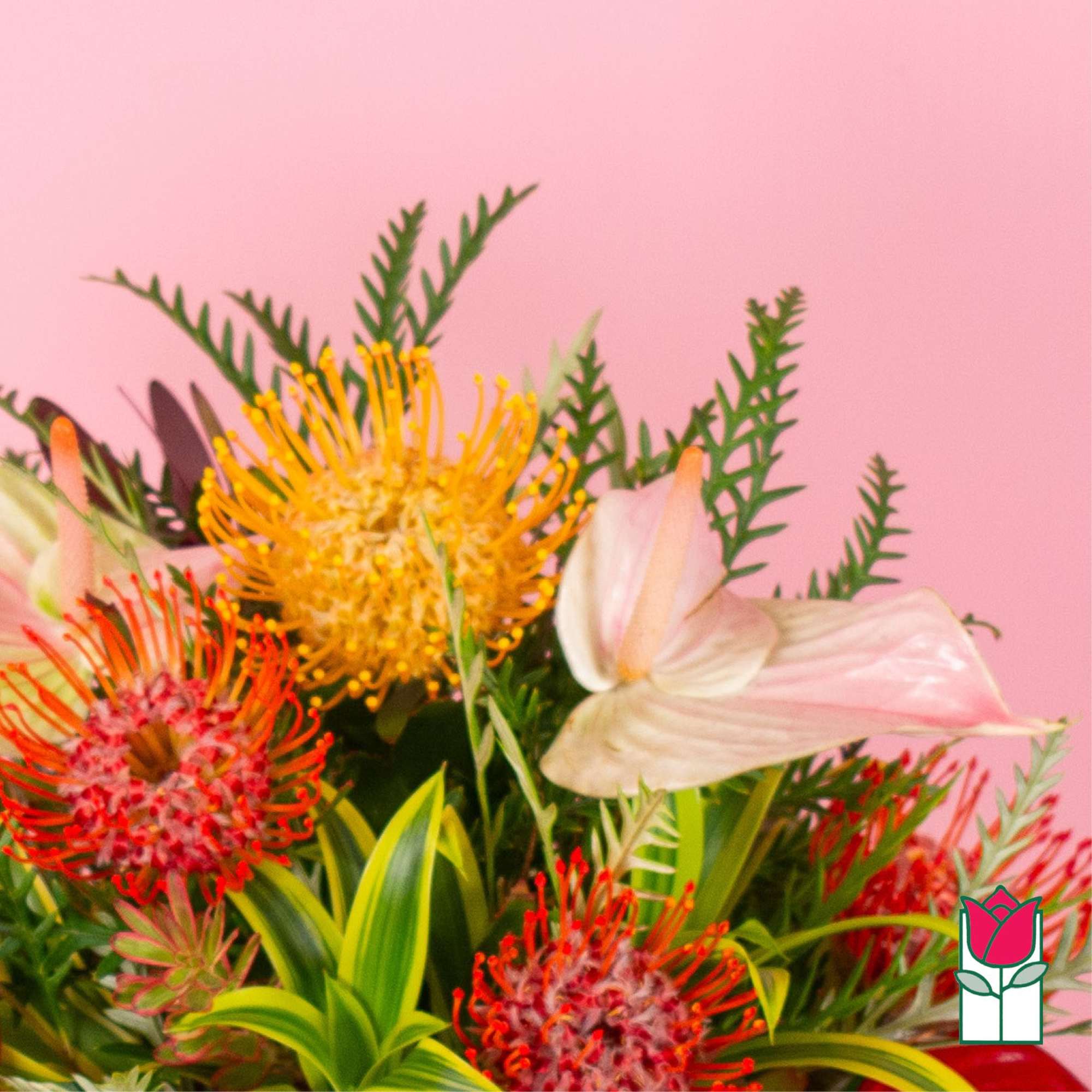 Tropical arrangement with yellow and red protea and pale pink blooms on a pink background