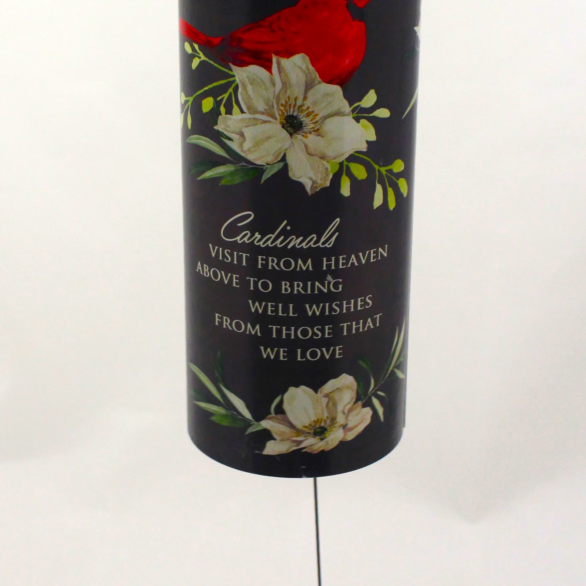 Cardinals Vist from Heaven above to bring well wishes from those that