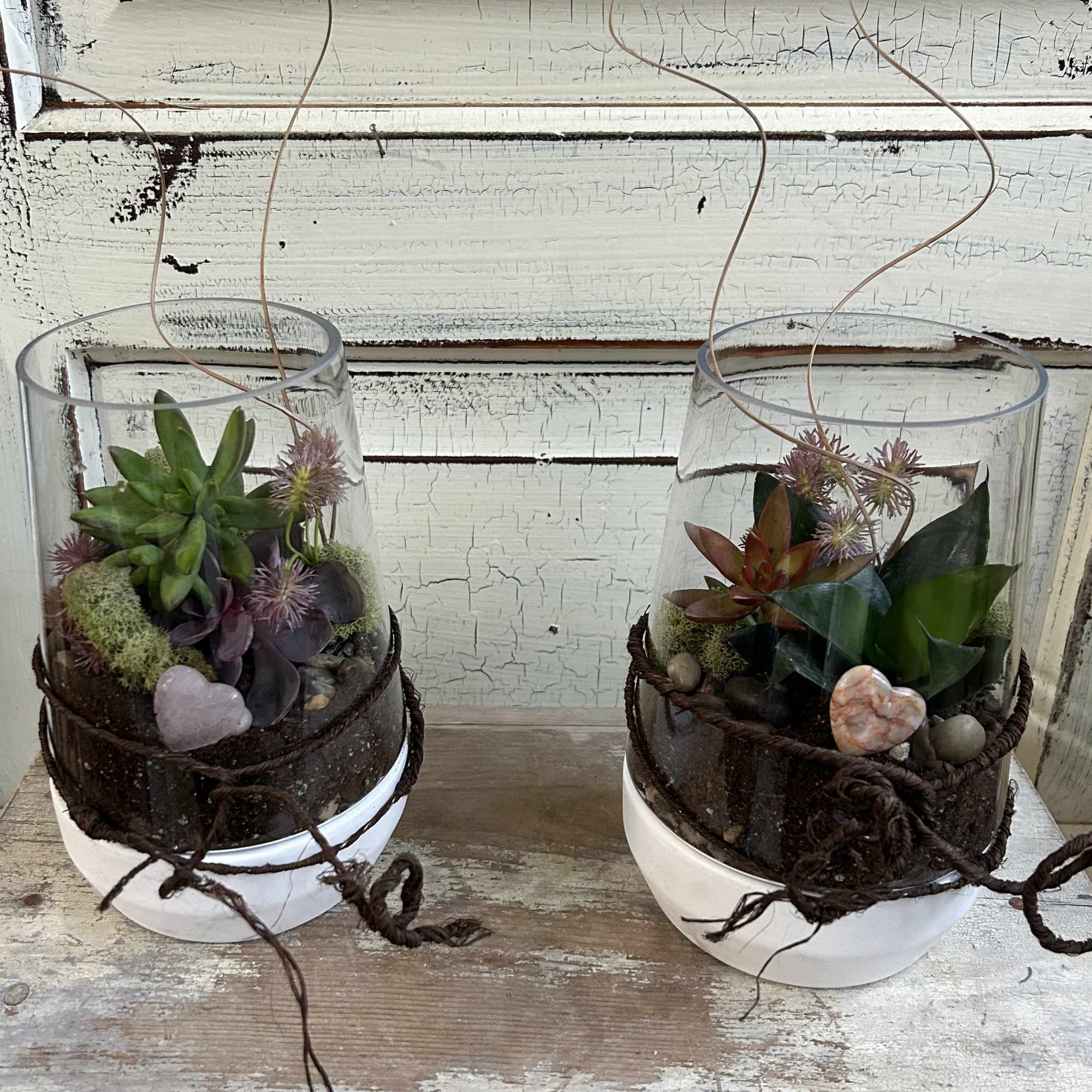 Two succulent terrariums in clear glass containers with twine accents