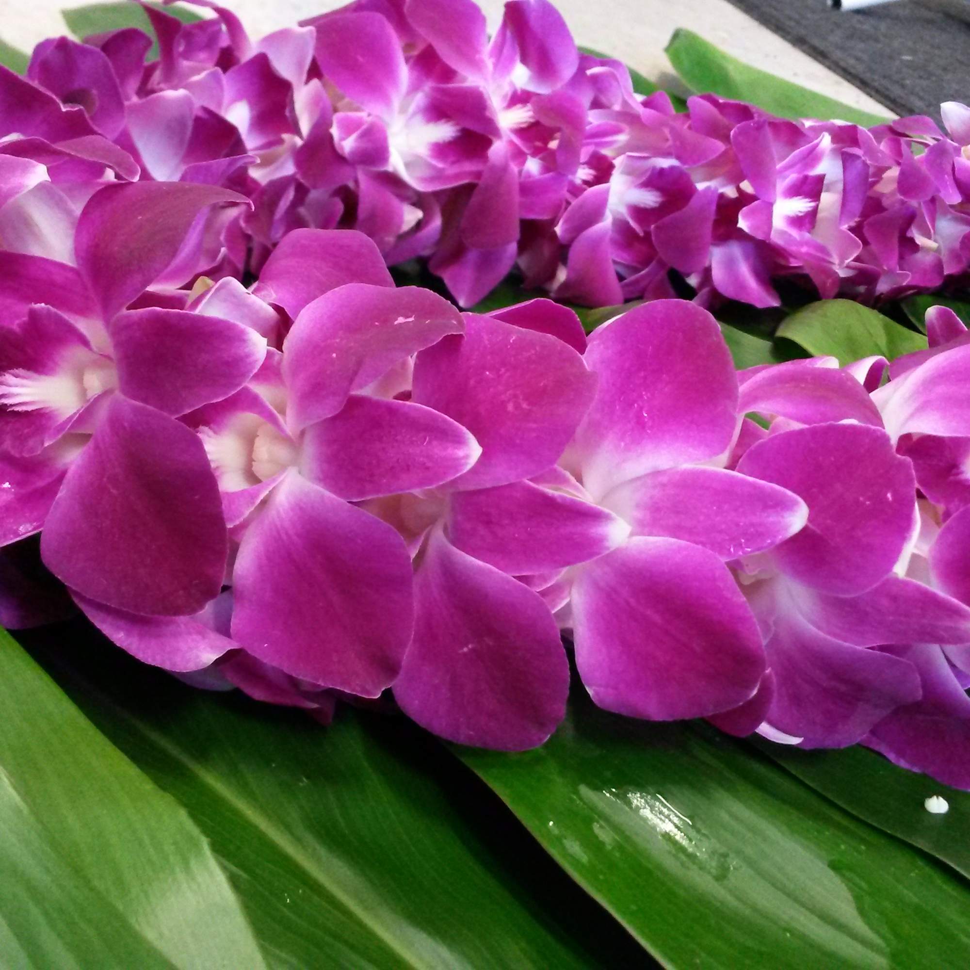 ***PLEASE NOTE*** Due to ongoing supply chain issues, Lei orders without 72