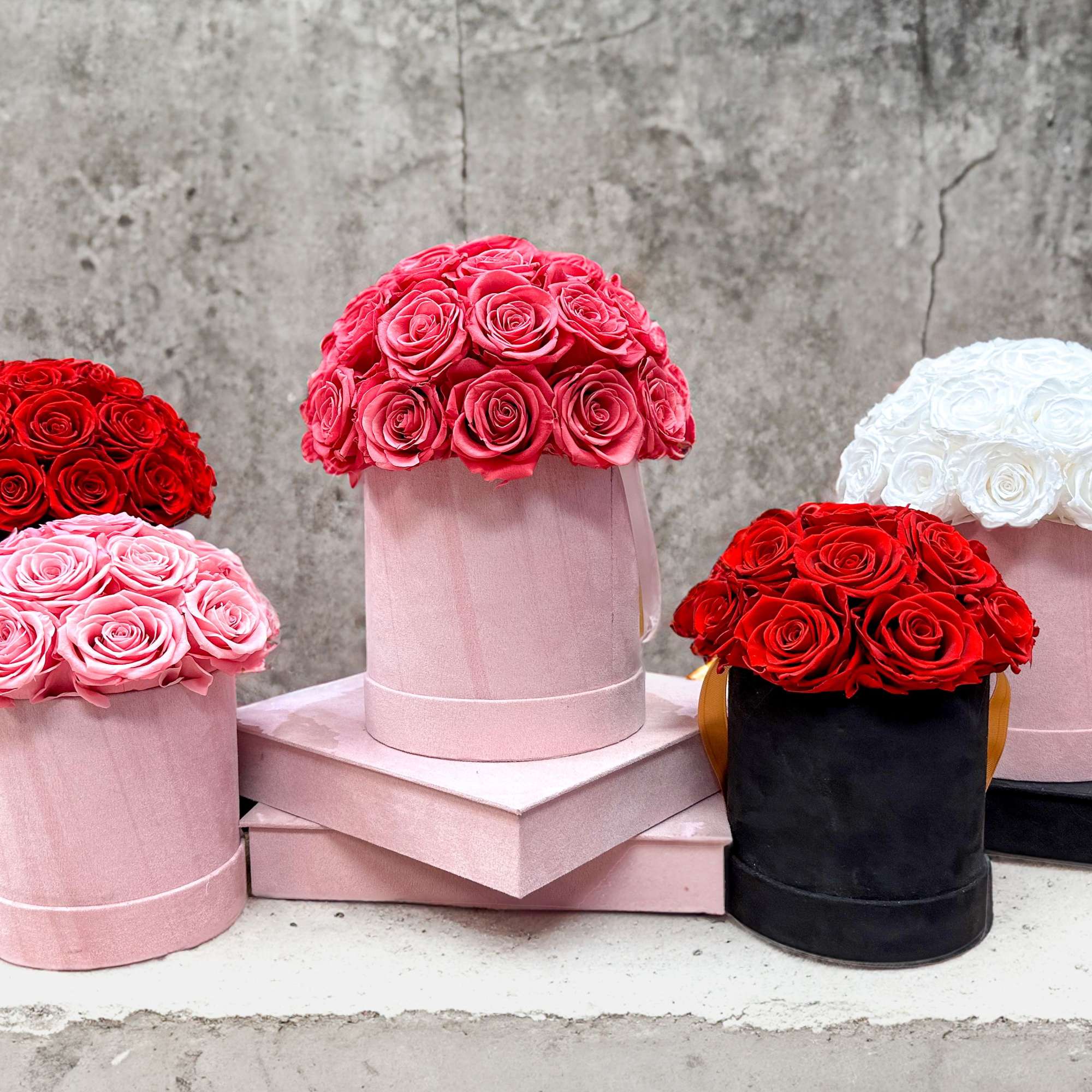 Round rose arrangements in pink, red, and white boxes