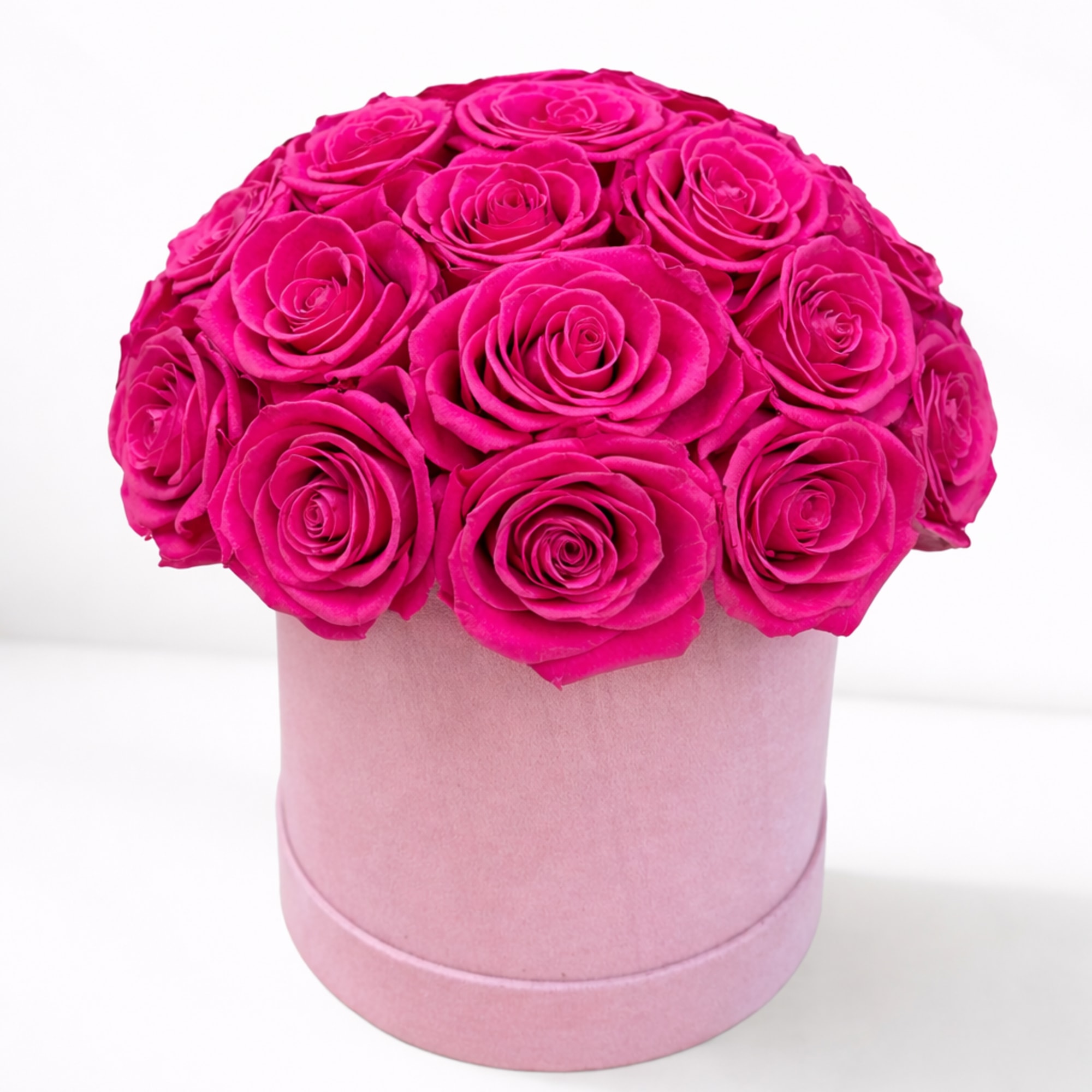 Hot pink roses arranged in a round pink box