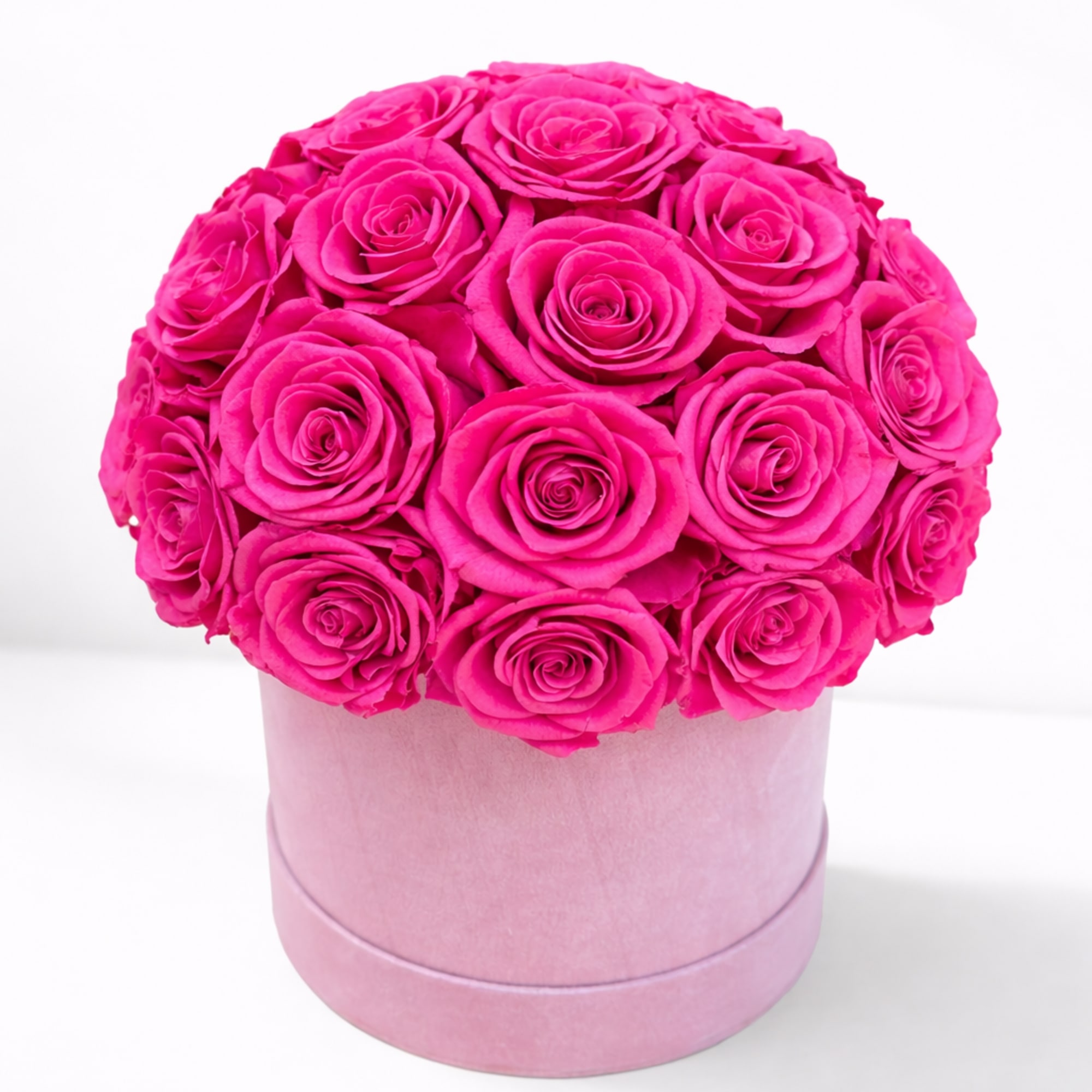 Hot pink roses arranged in a round pink box