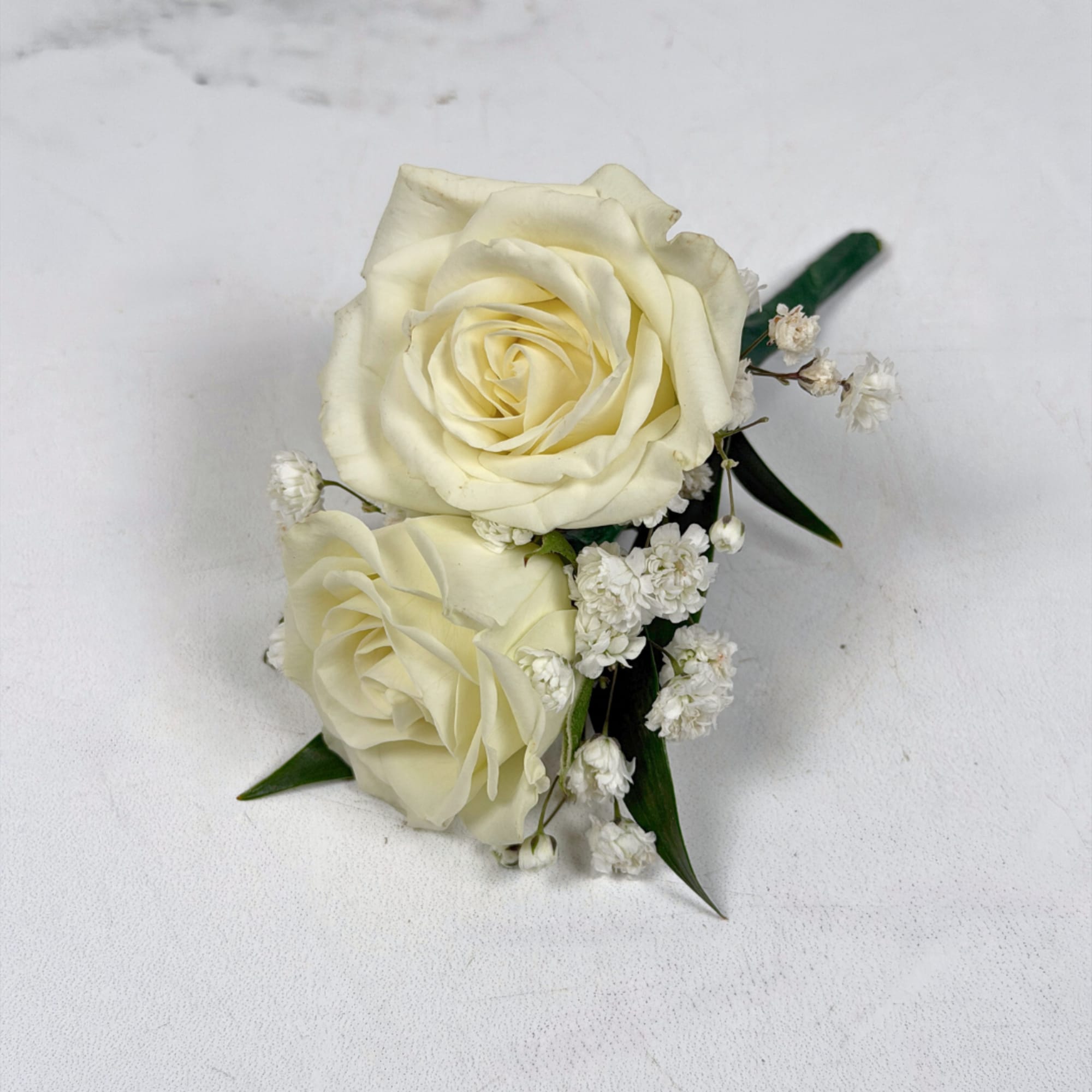 Two ivory-white spray roses are clustered tightly together in this white spray