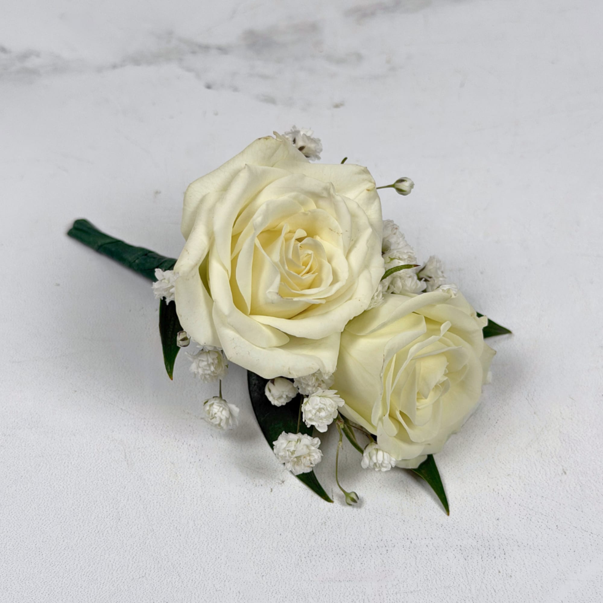 Two ivory-white spray roses are clustered tightly together in this white spray