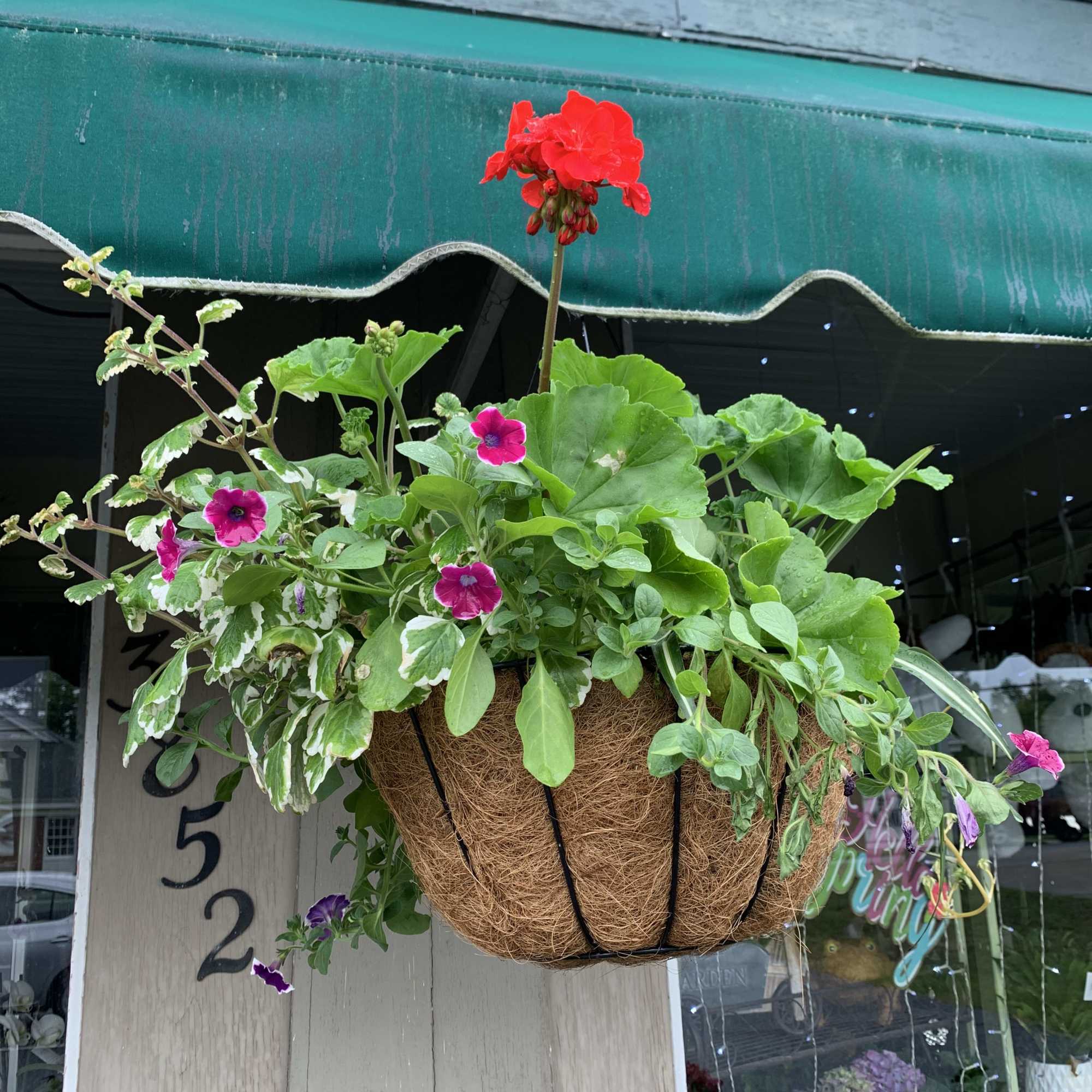 Hanging basket with red and pink flowering plants