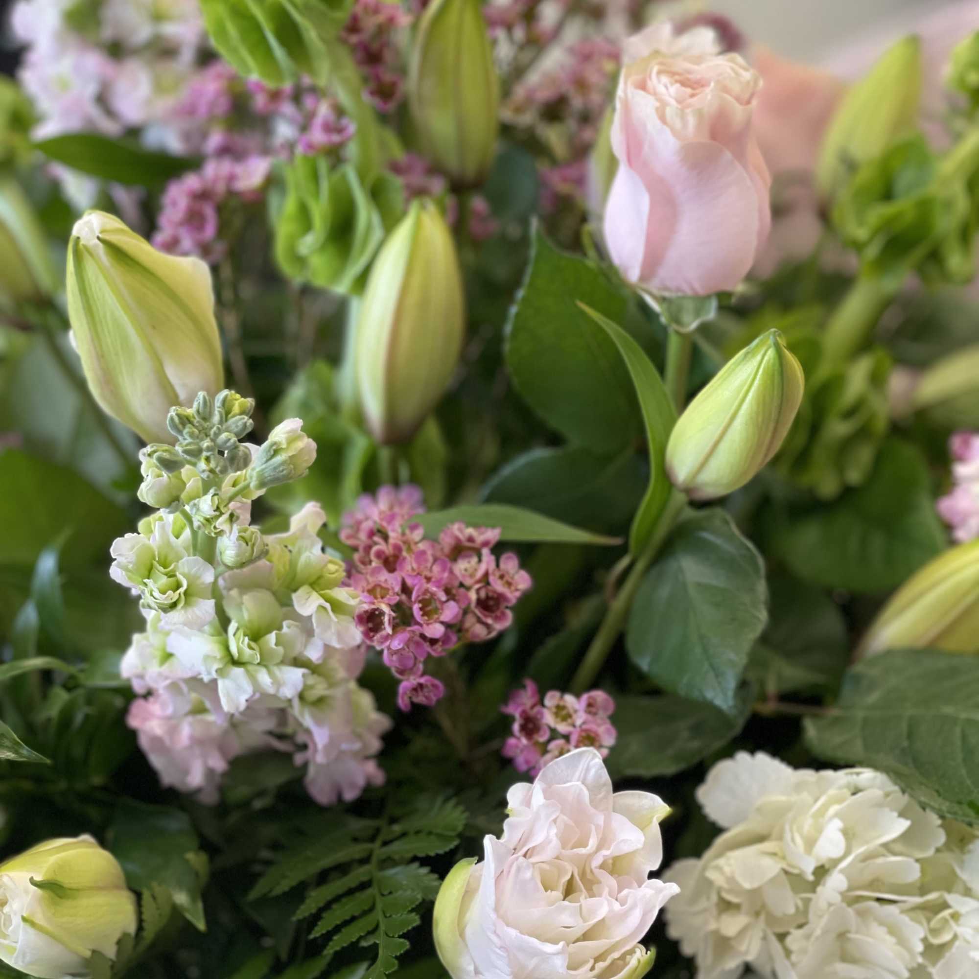 Bouquet of pale pink tulips, white hydrangea, and small pink flowers
