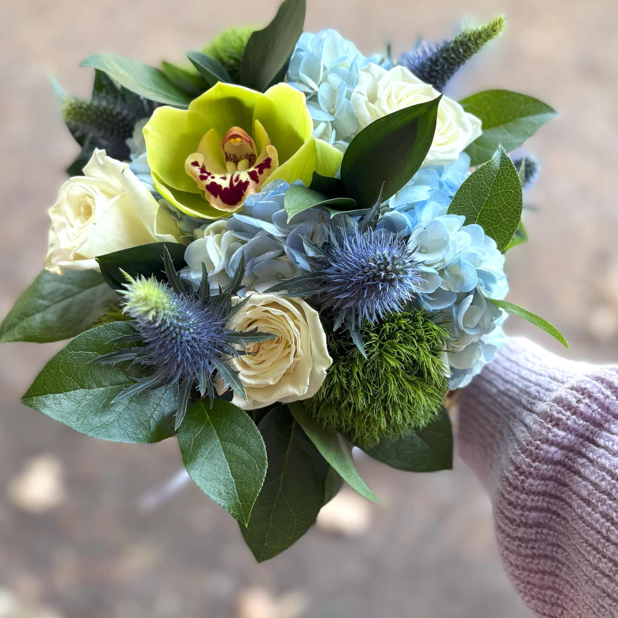 Handheld bouquet with blue hydrangeas, cream roses, a green cymbidium orchid, and blue spiky accents