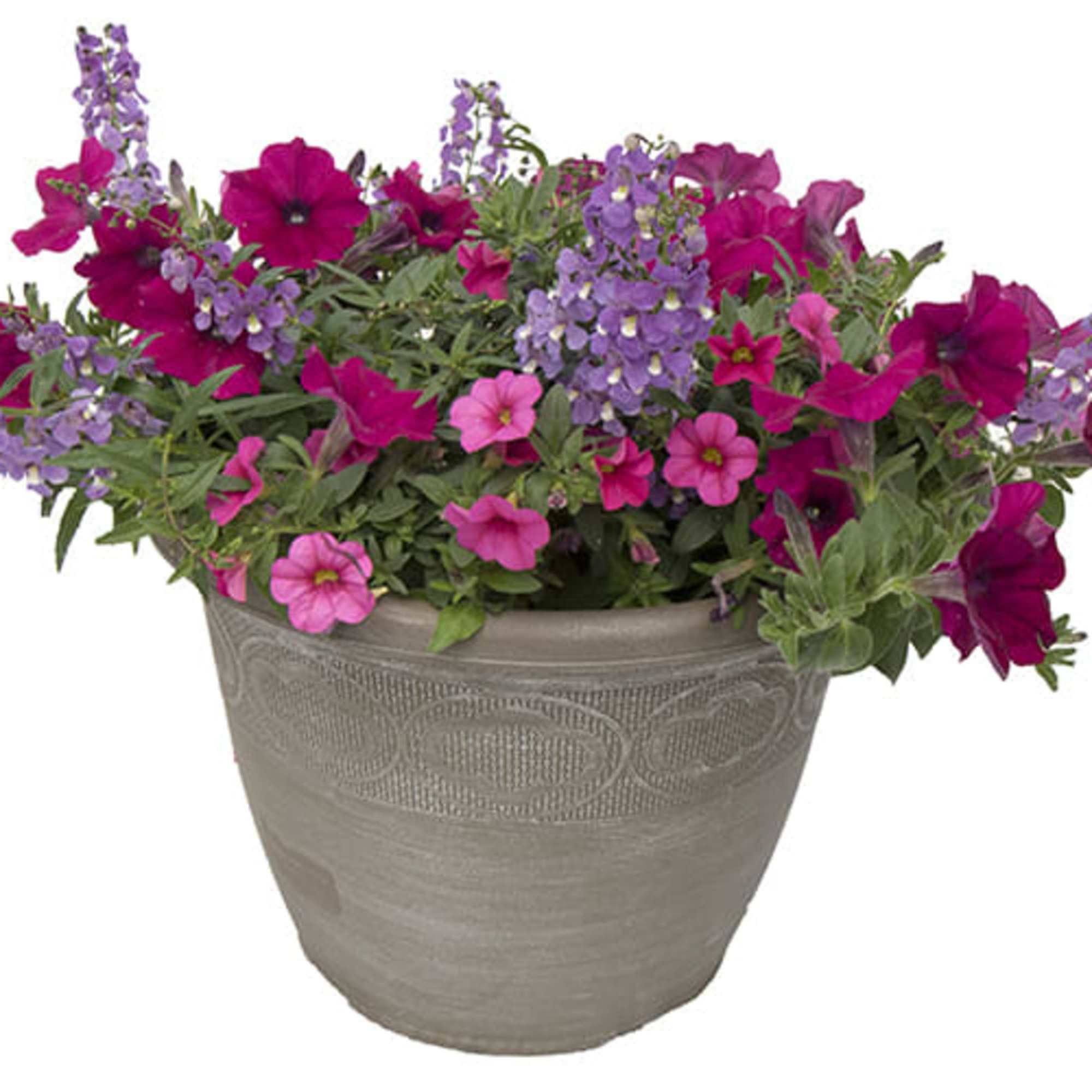 Sun loving annual flower patio planter. Exact flower varieties &amp; container will