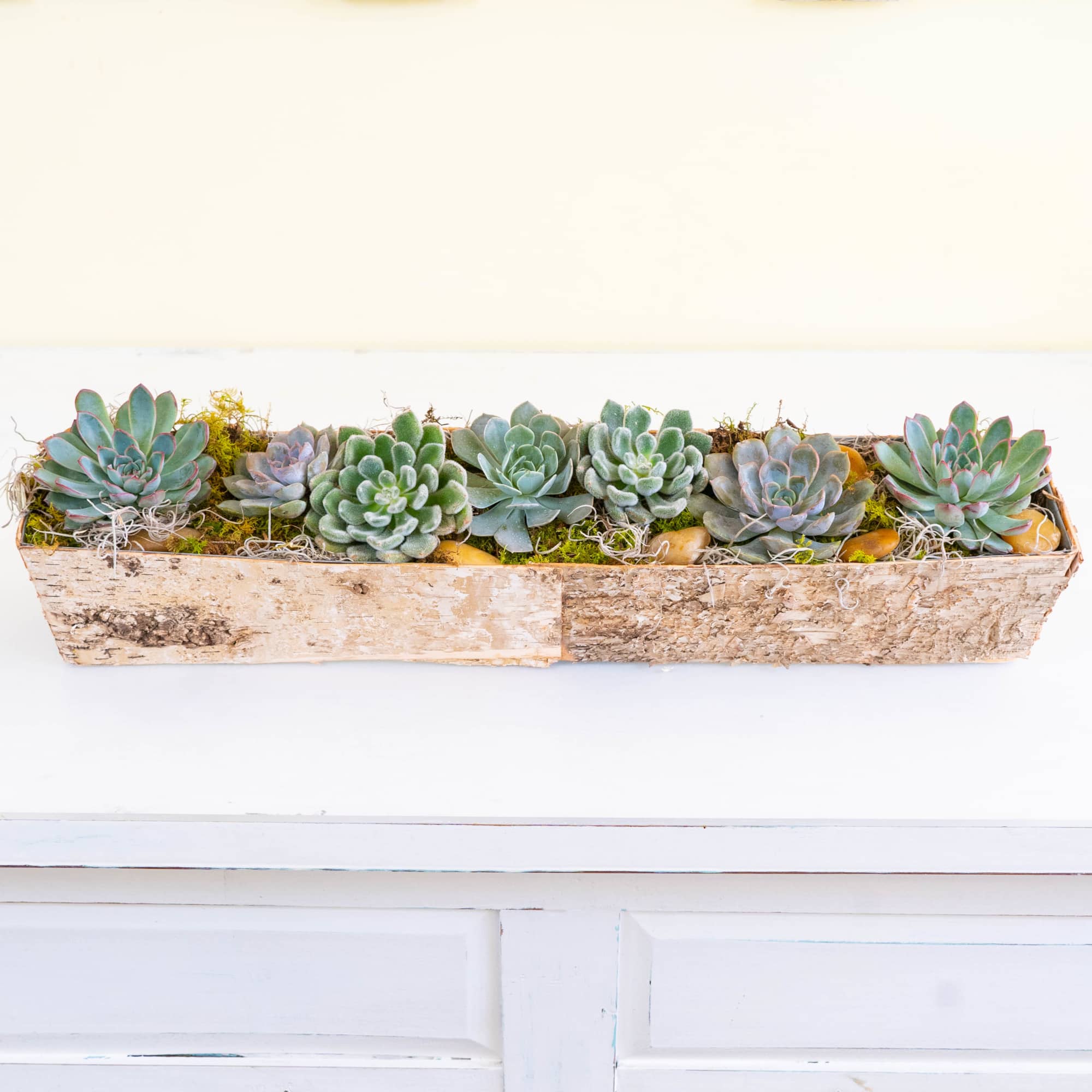 Rectangular planter with assorted succulents in a rustic wooden box