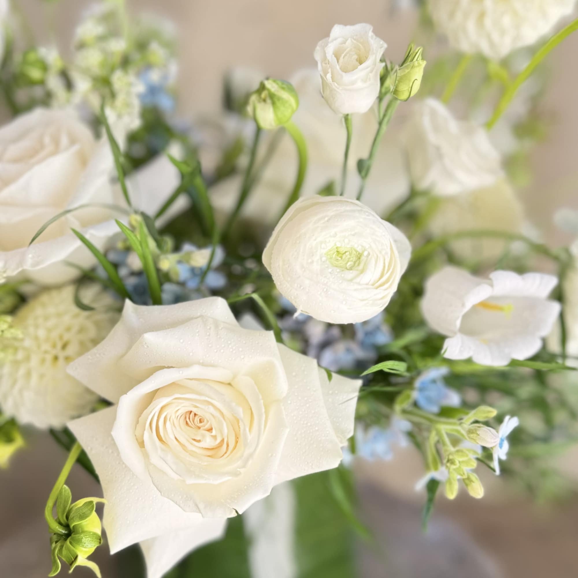 White roses and ranunculus in a glass vase with small blue flowers