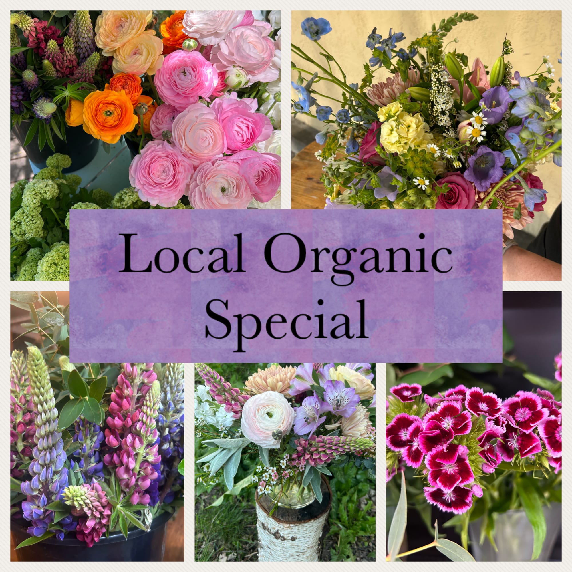 A seasonal design using only locally grown, certified organic blooms and foliage!