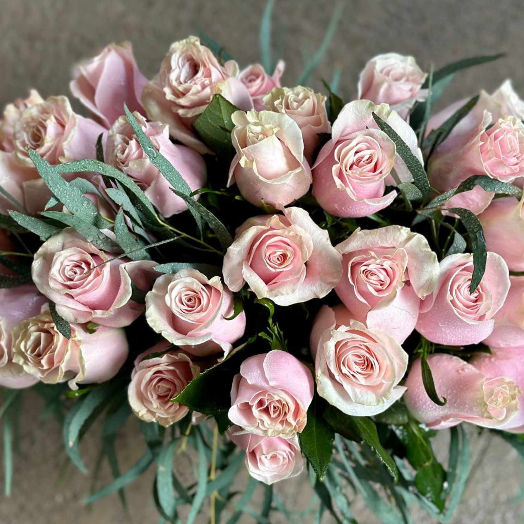 Bouquet of pale pink roses with green foliage