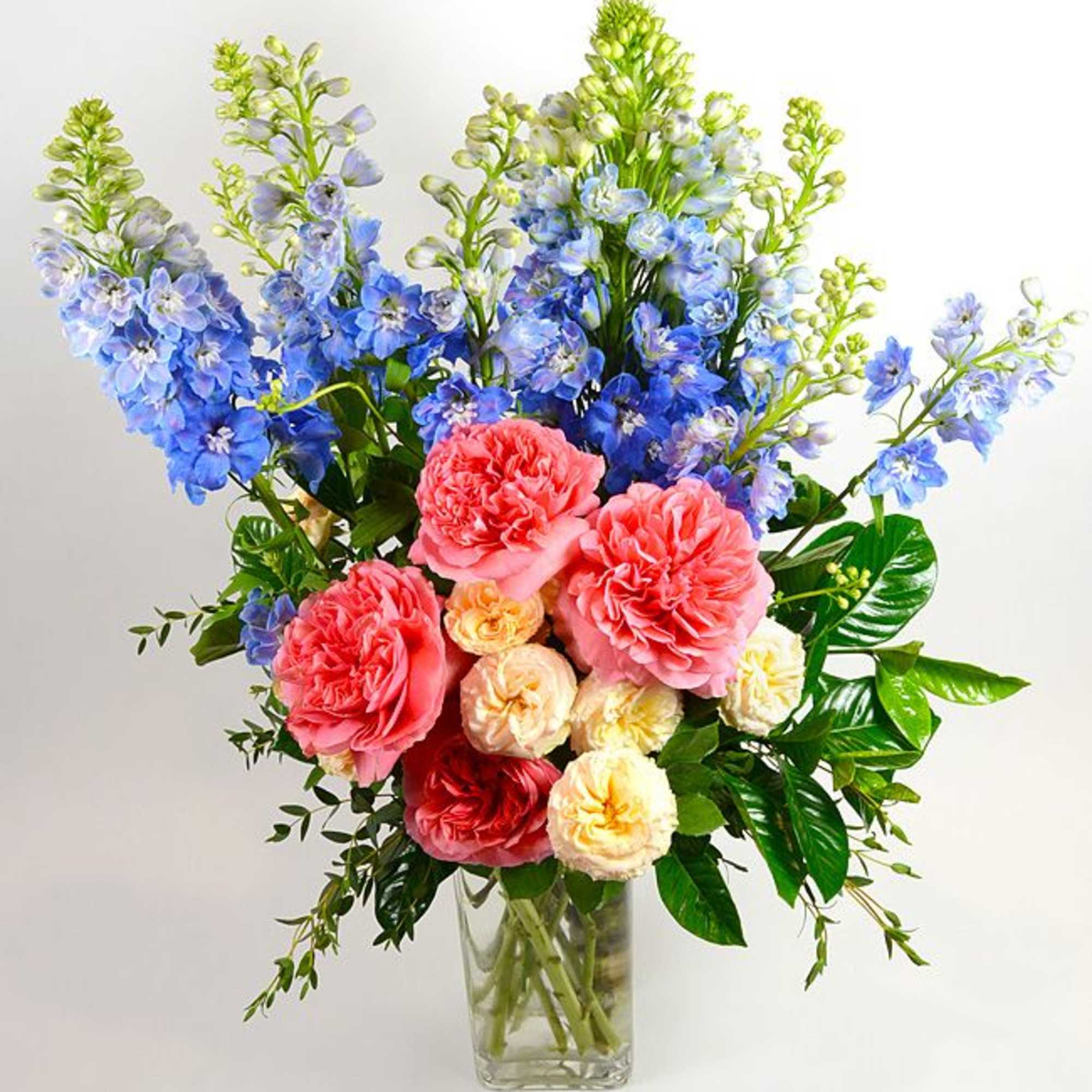 Tall blue delphinium spikes rise above a lush cluster of coral-pink and