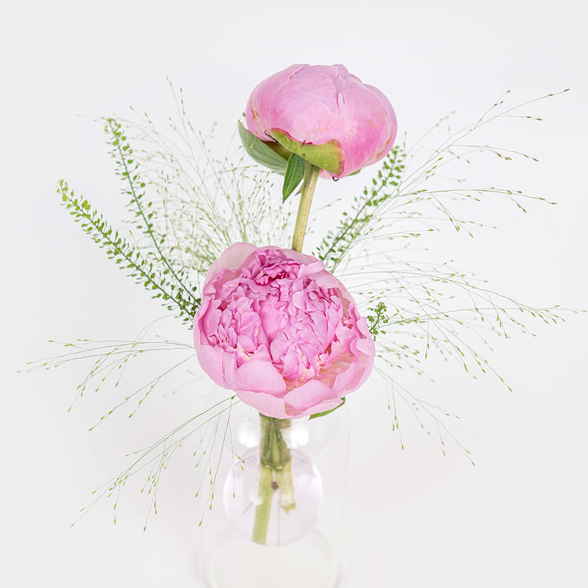 Pink peonies in a clear glass vase with airy filler