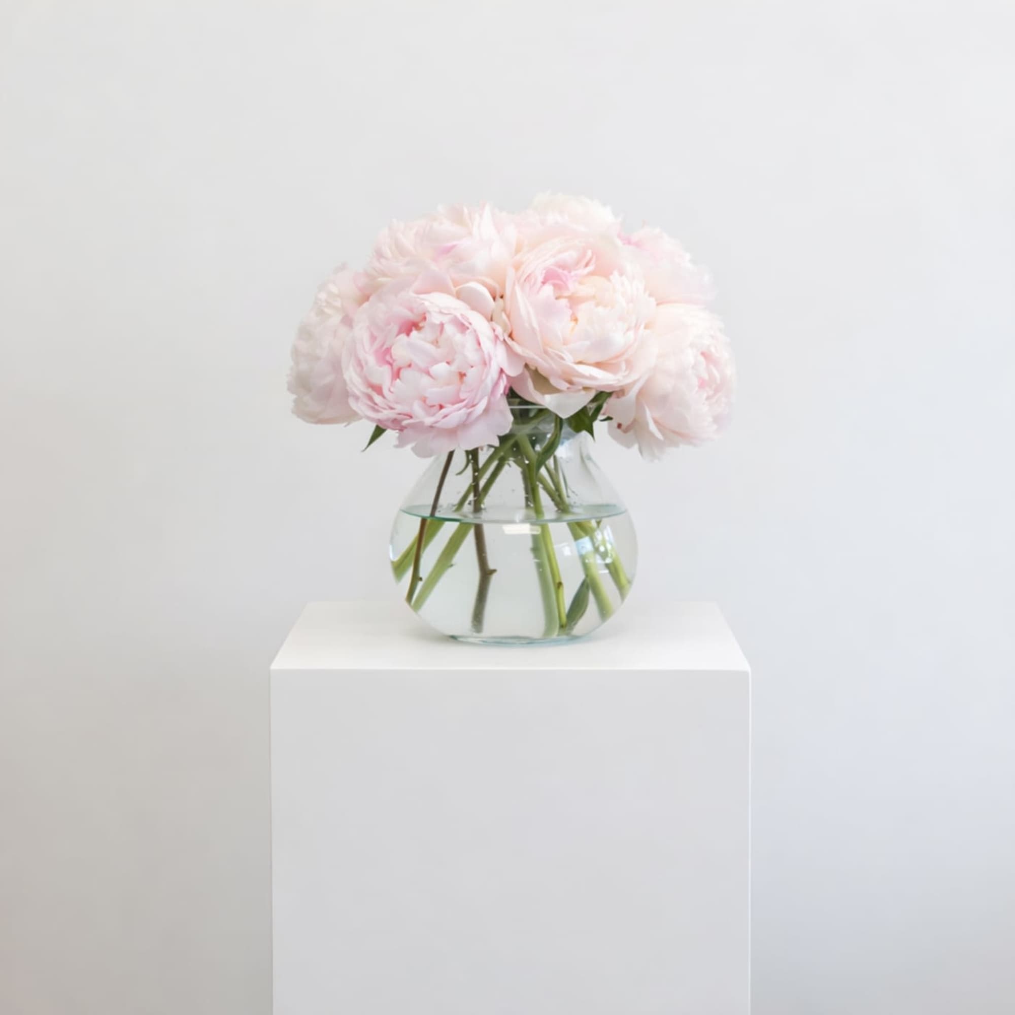 Soft, full peonies beautifully wrapped in our signature style.
A timeless and elegant