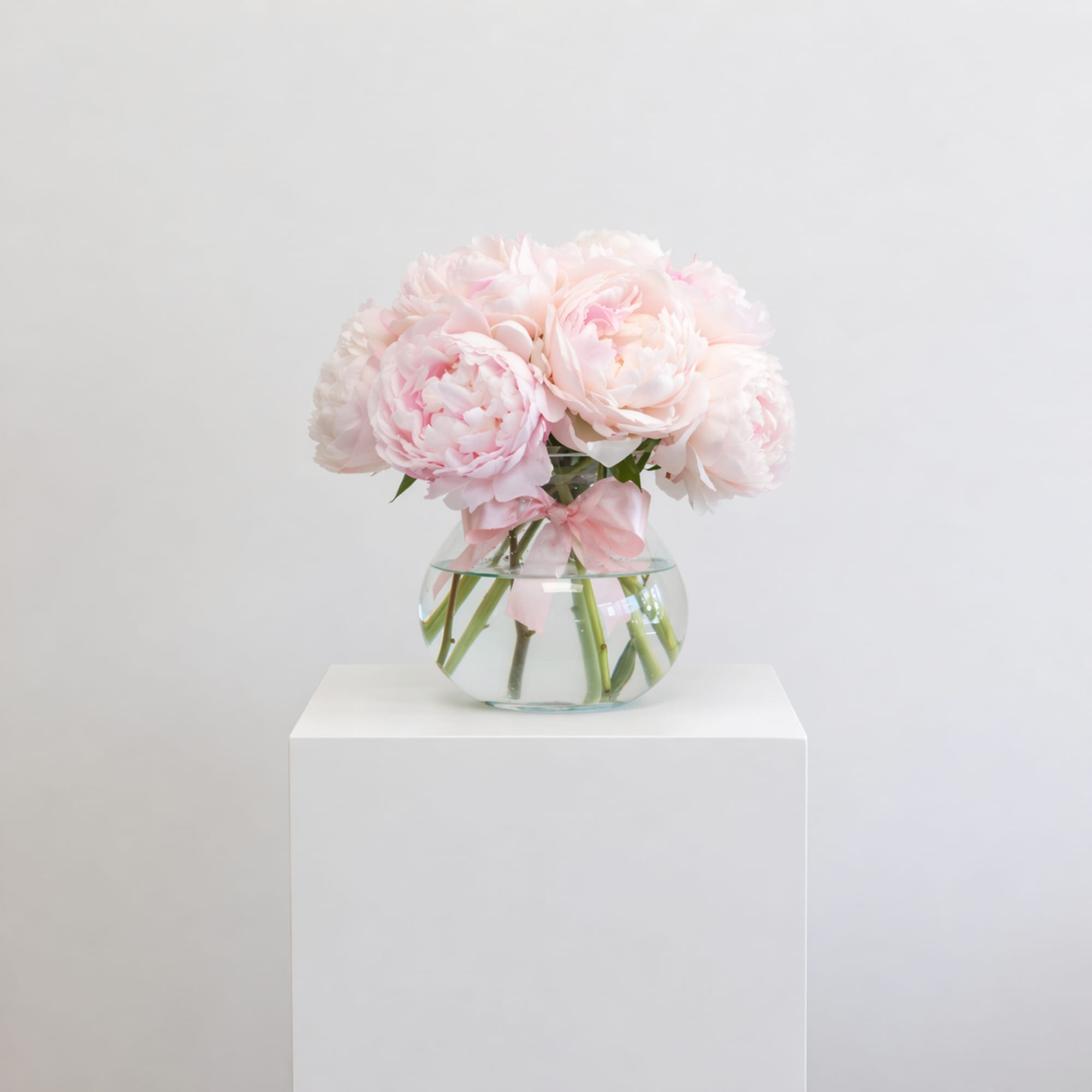 Light pink peonies in a clear glass vase with a pink ribbon