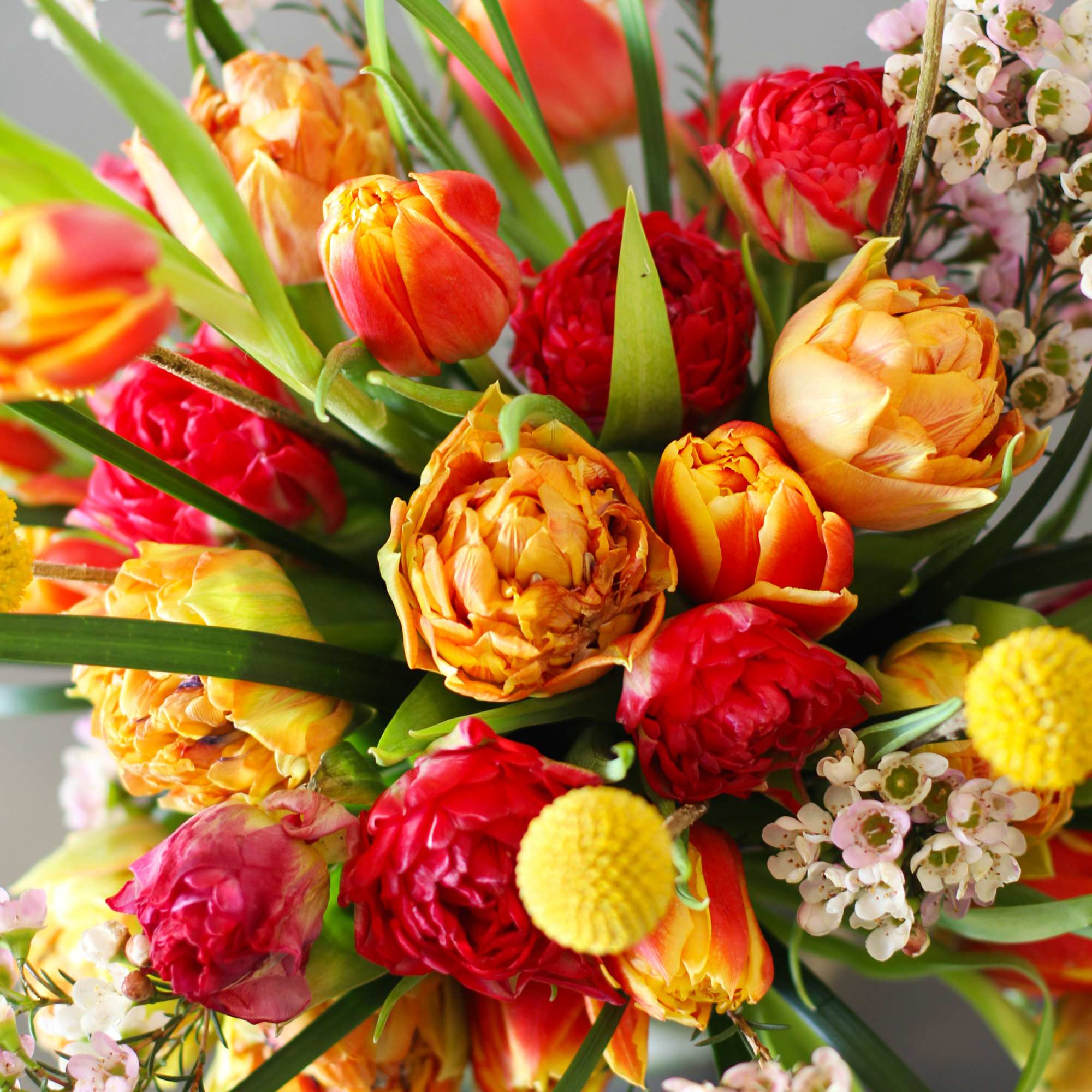 27-30 stems Multi cheerful color Tulips arrange with Craspedia Billy, Bear grass