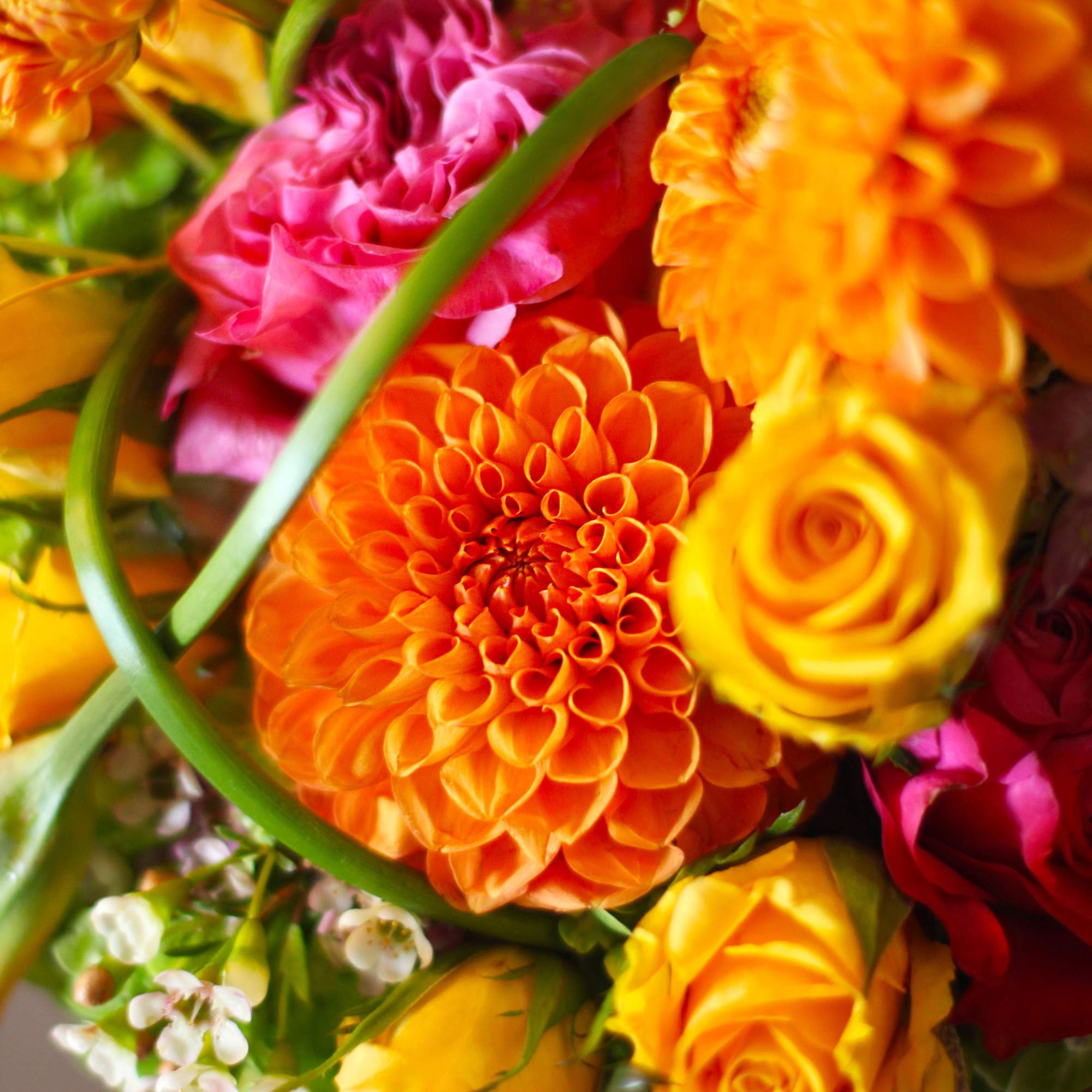 A cheerful orange, fuchsia, yellow green color palette vase arrangement create with