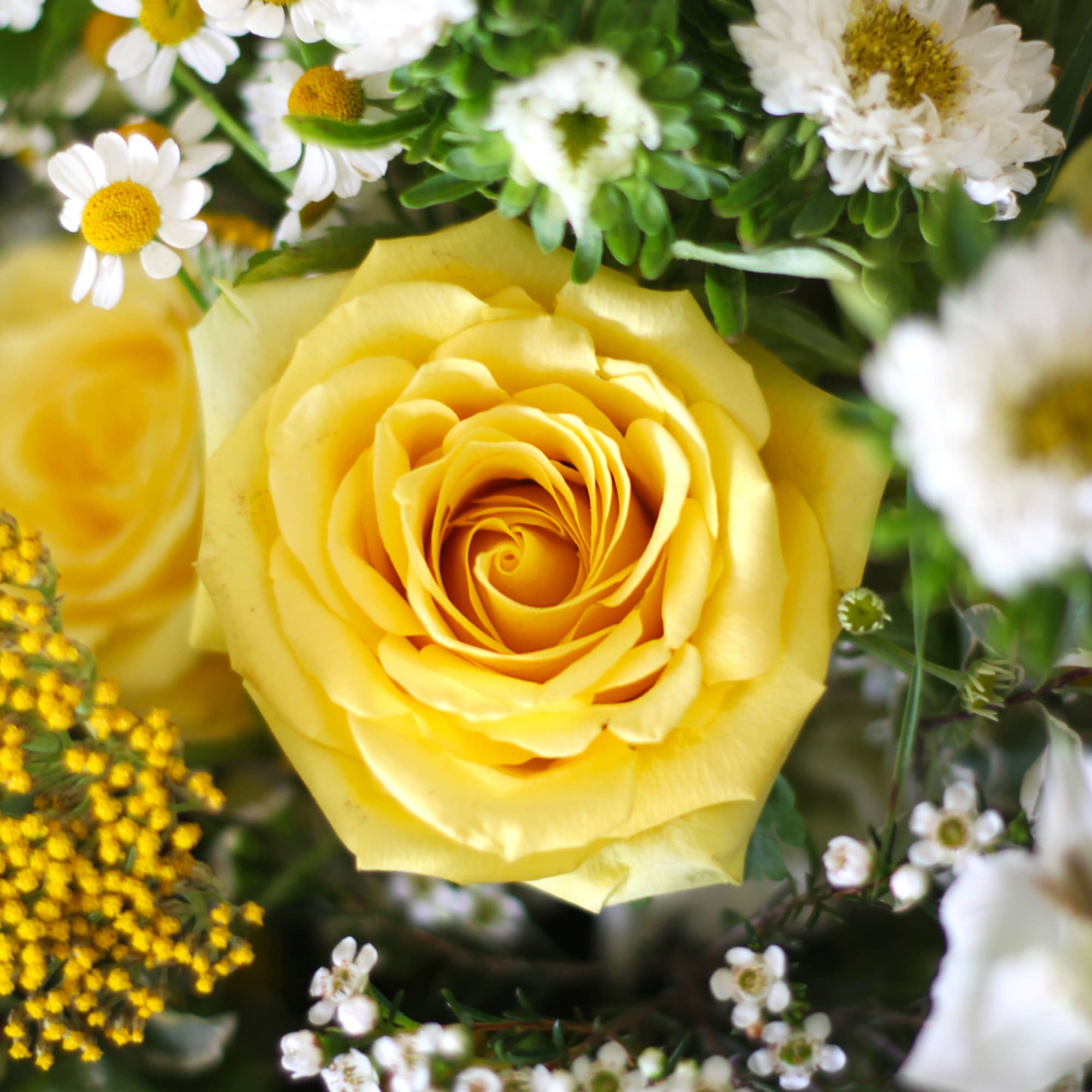This yellow and Green color combination handtie bouquet arrangement brings in a