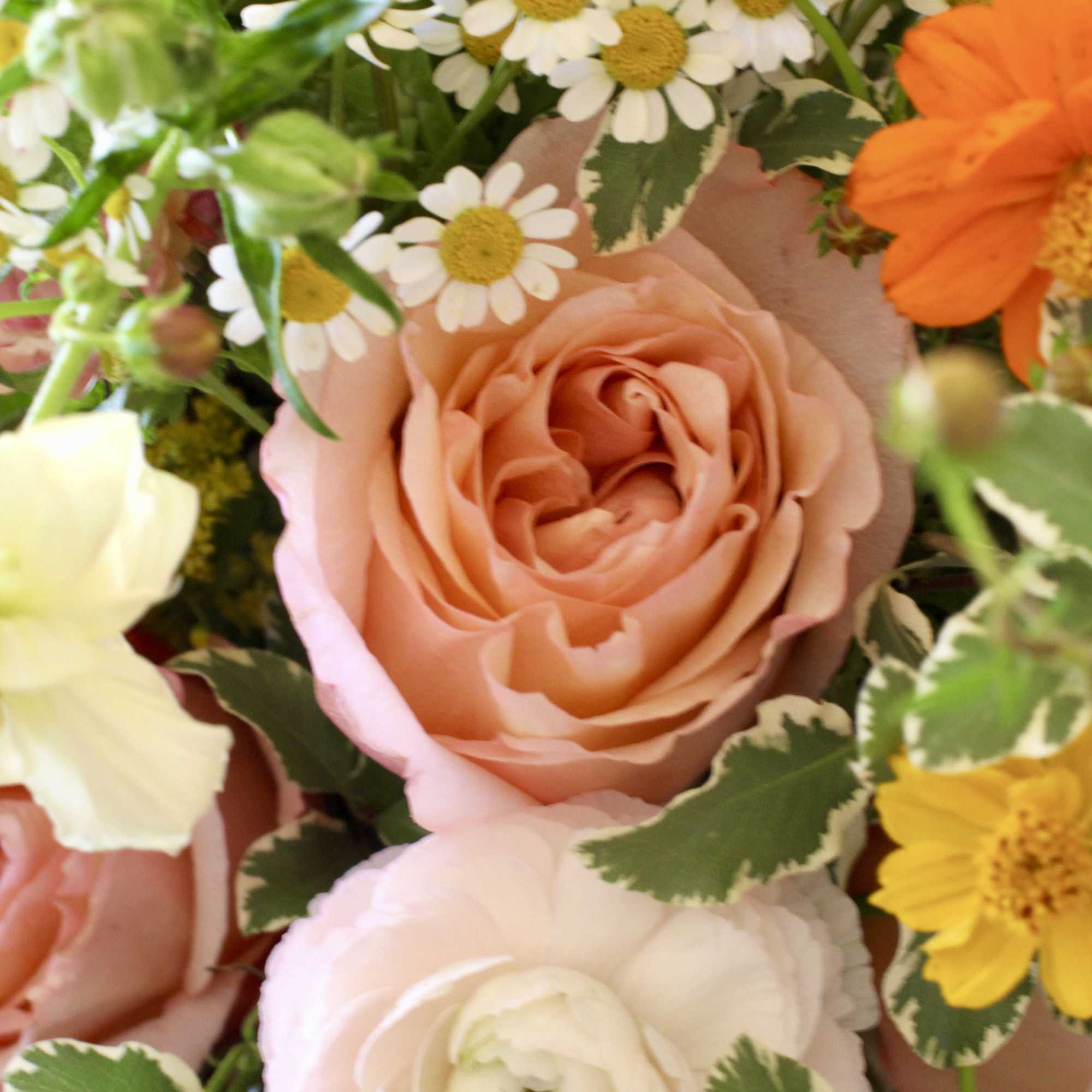 This exquisite bouquet features delicate coral peachy garden rose, ranunculus, hydrangea with