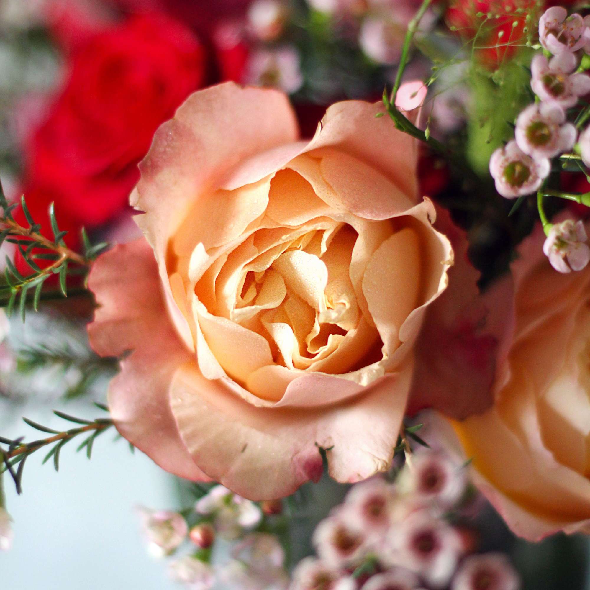 A modern touch of a traditional One &amp; a half dozen red