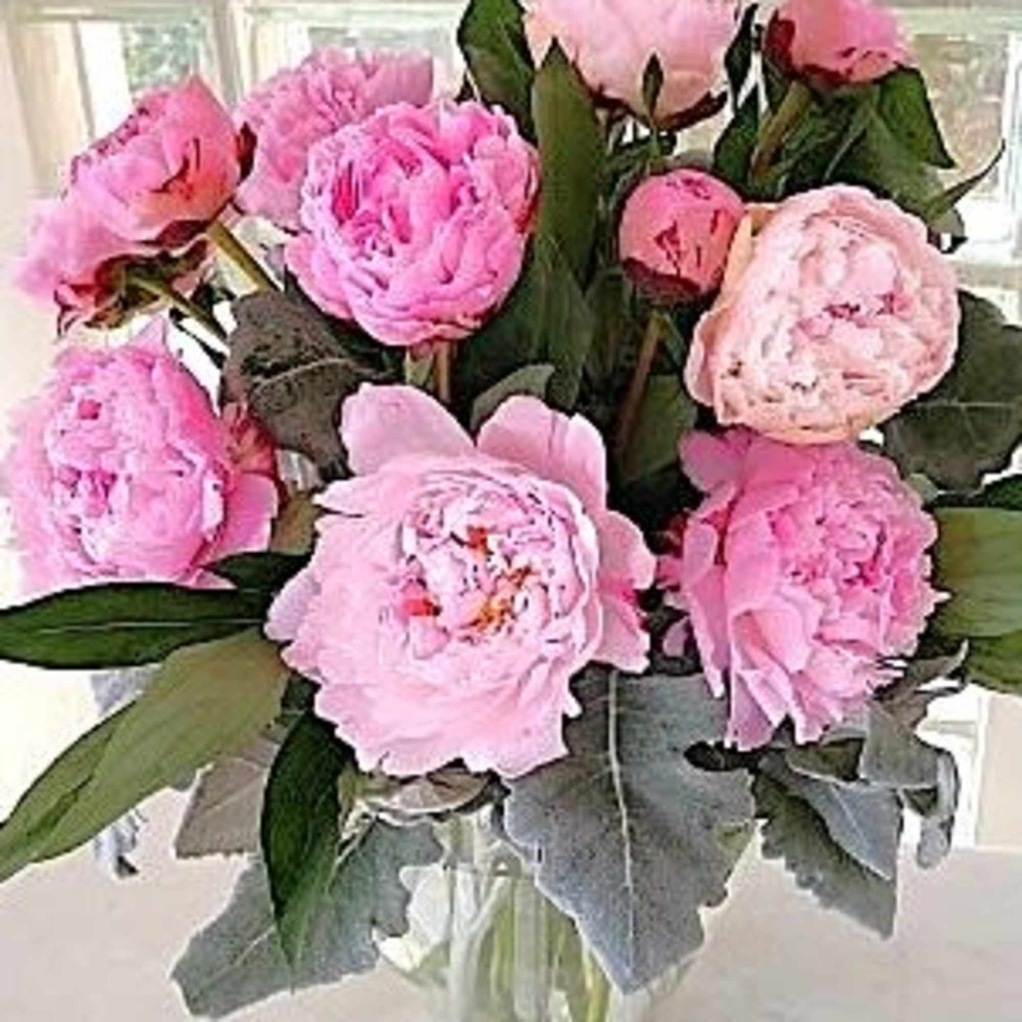 When they think of pink flowers, they think of peonies. Deliciously fragrant