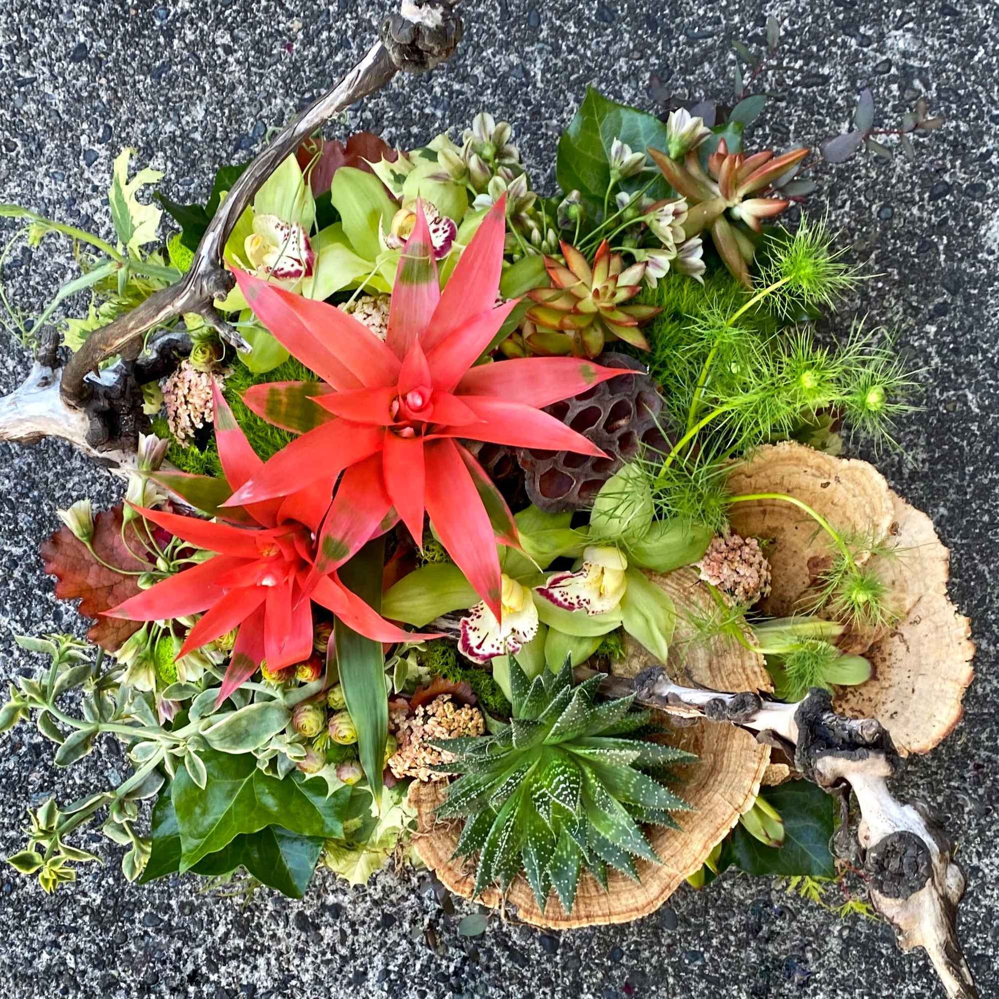 Our award-winning Texture Collection is a feast for the eyes, revealing another