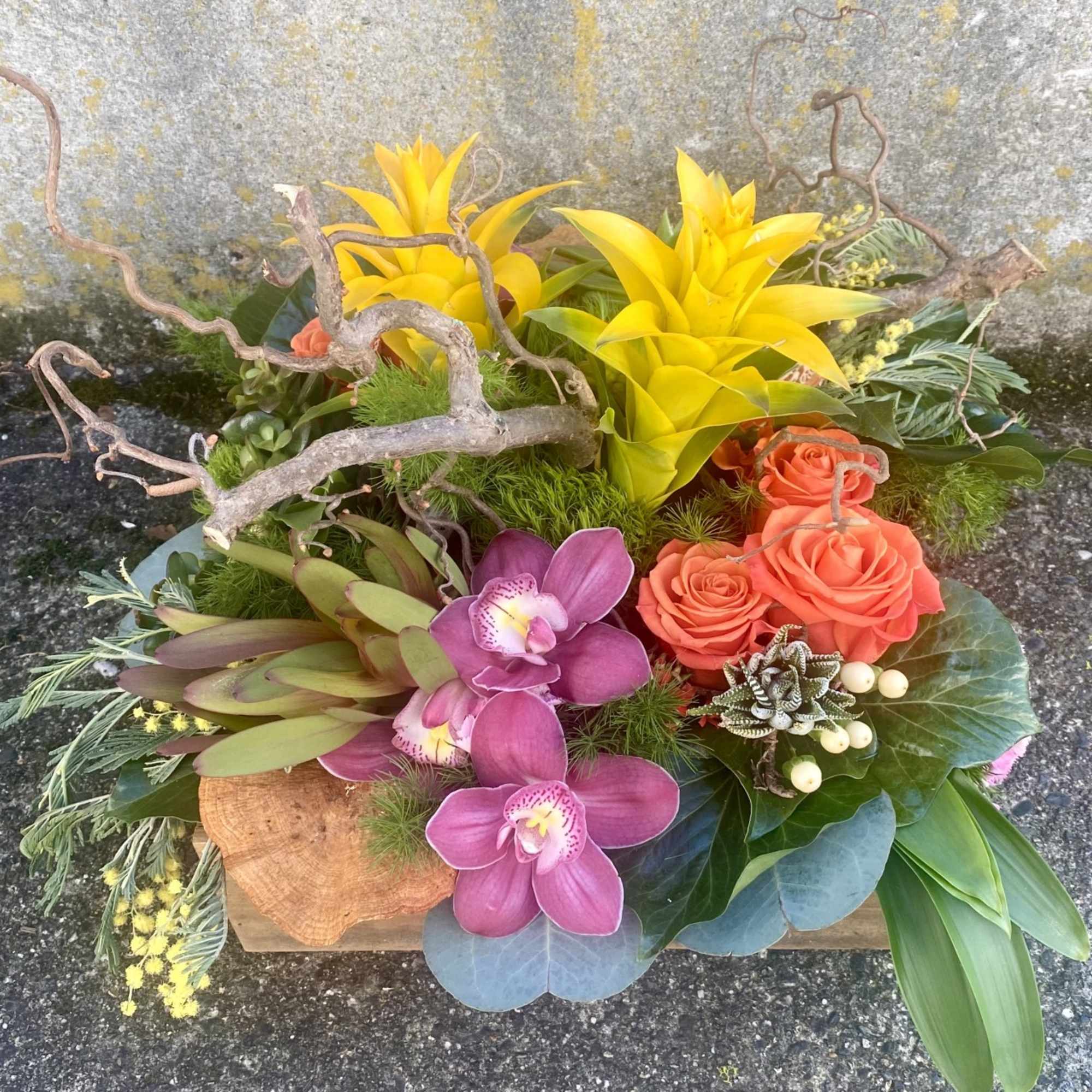 Our award-winning Texture Collection is a feast for the eyes, revealing another