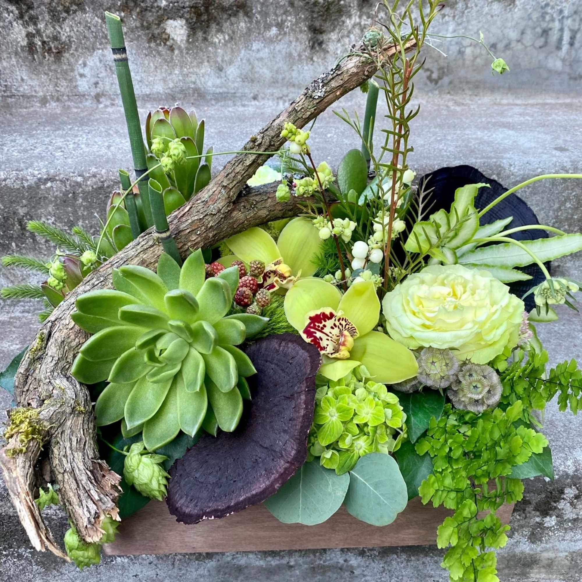 Succulent and orchid arrangement with driftwood in a wooden container